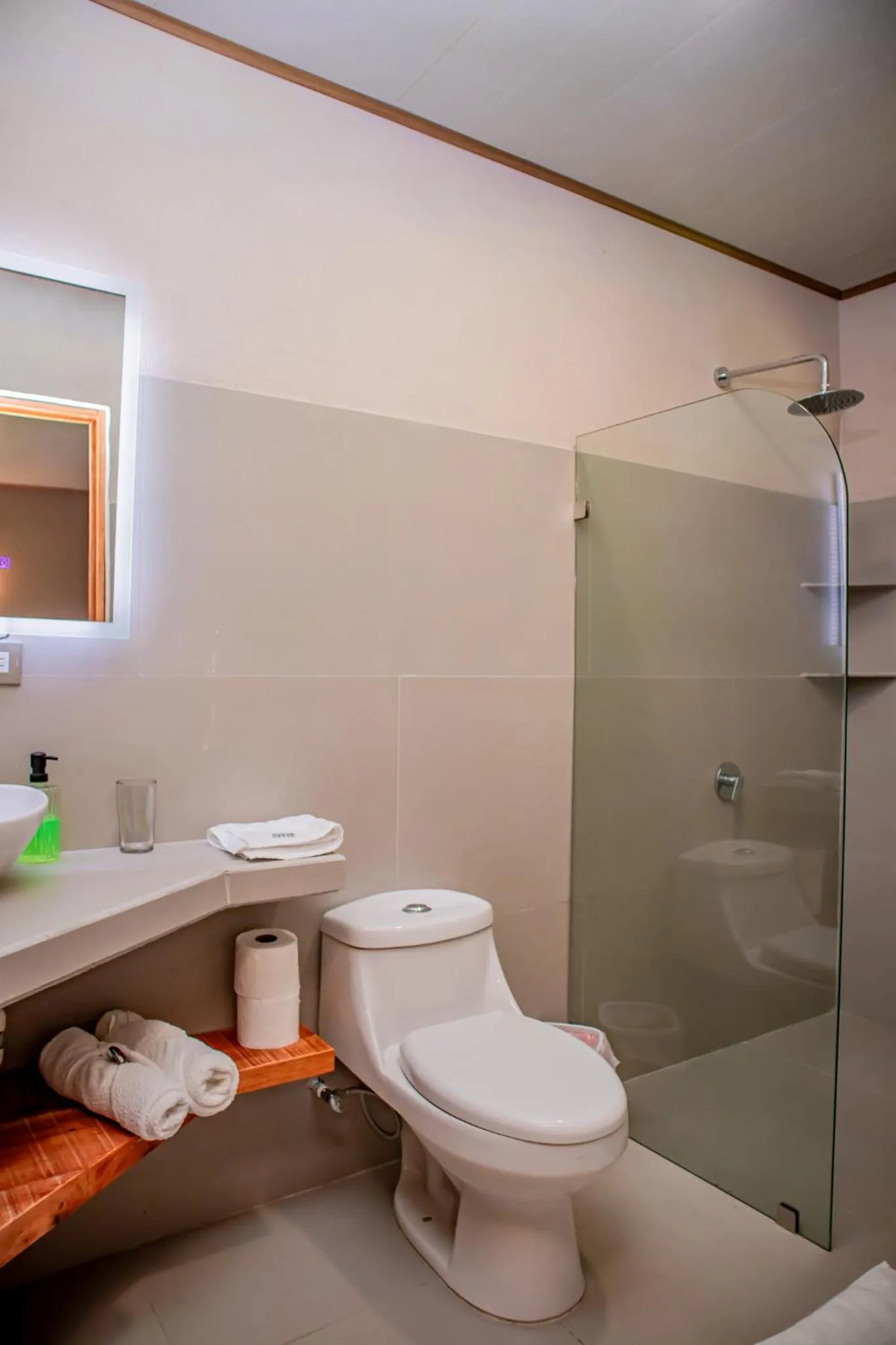 Bathroom in Hotel del Bosque