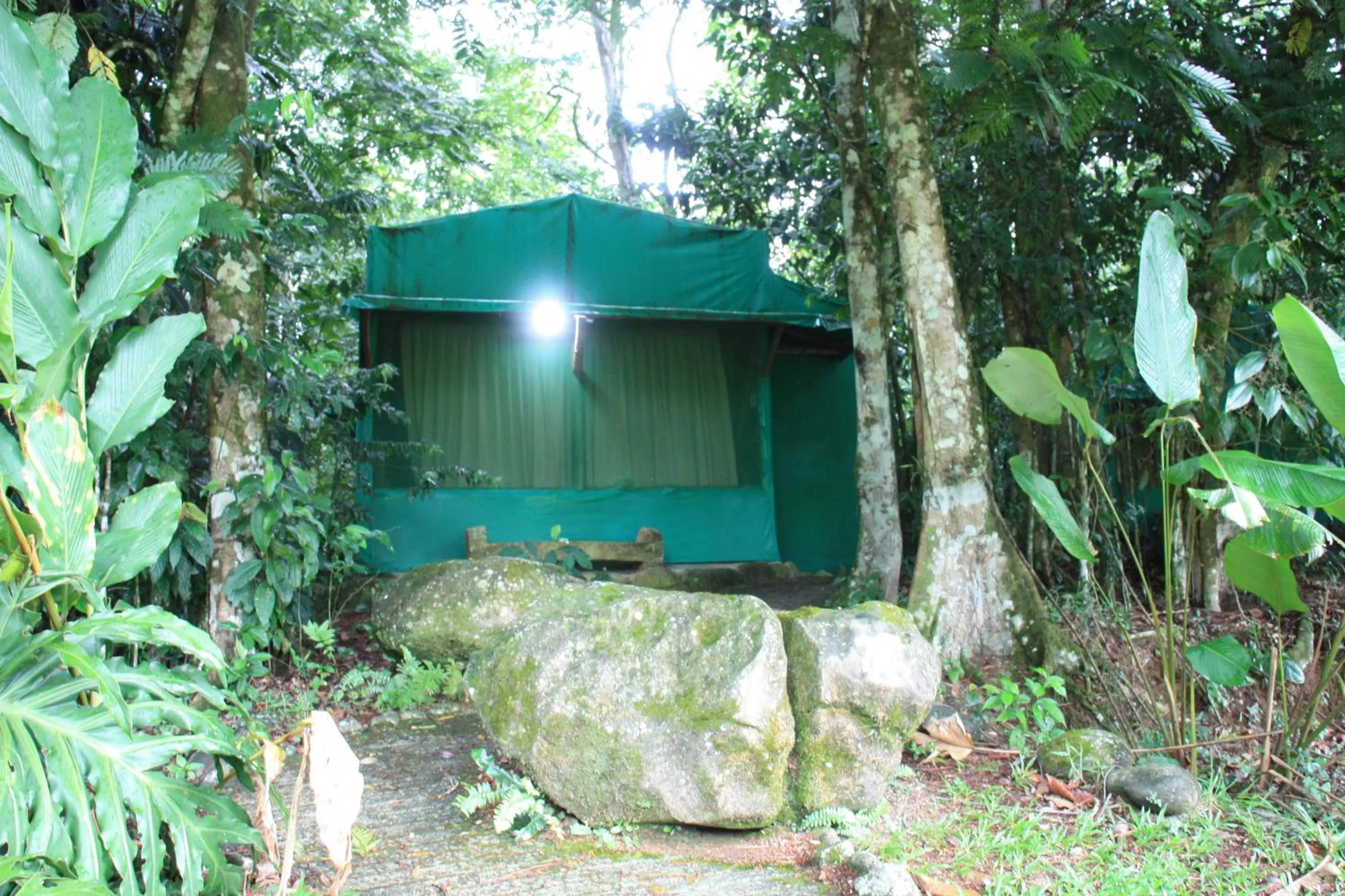 Day in Hotel del Bosque