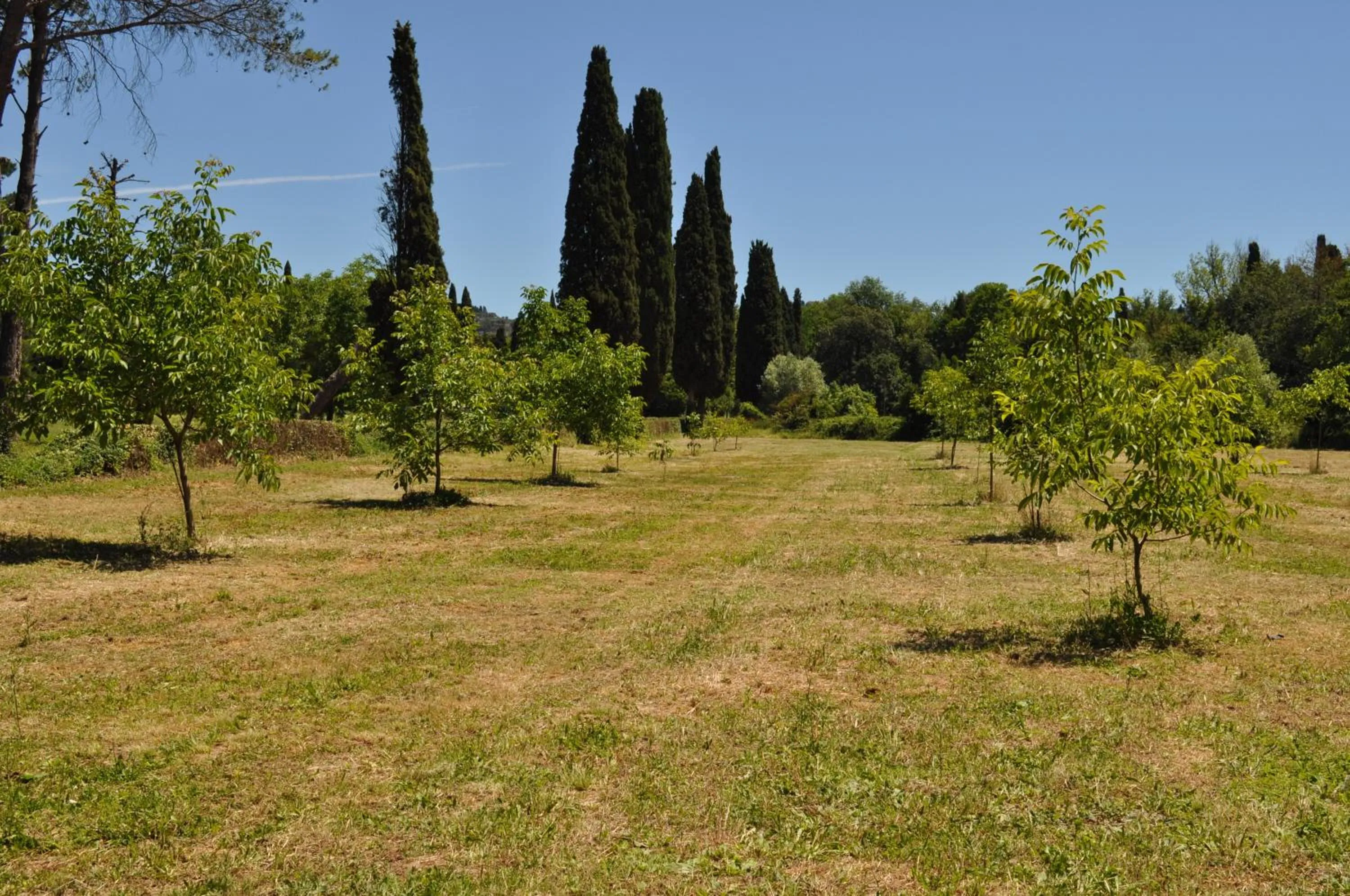 Garden in Visconte Apartment