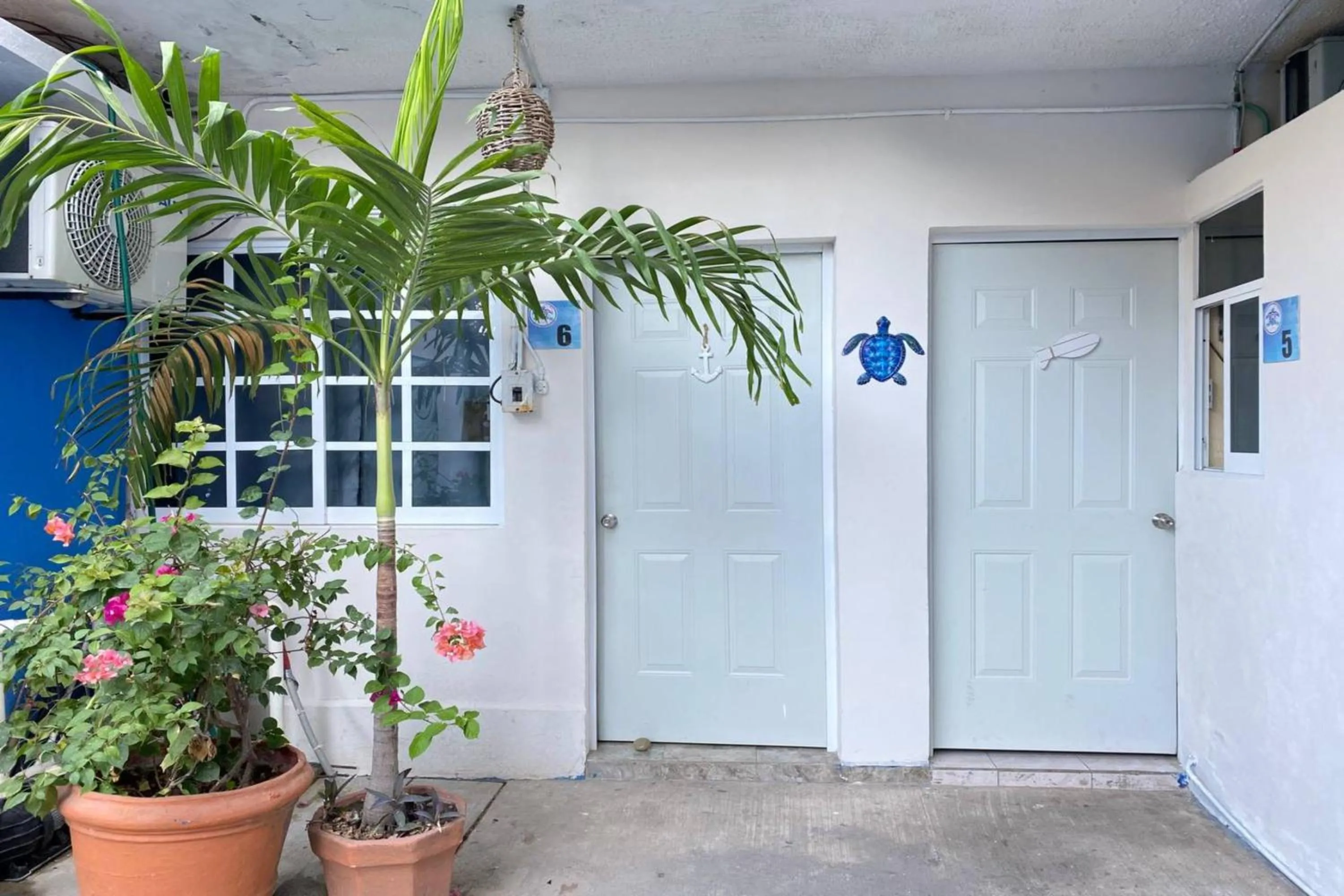 Area and facilities in OYO Hotel Zihuatanejo Malibu