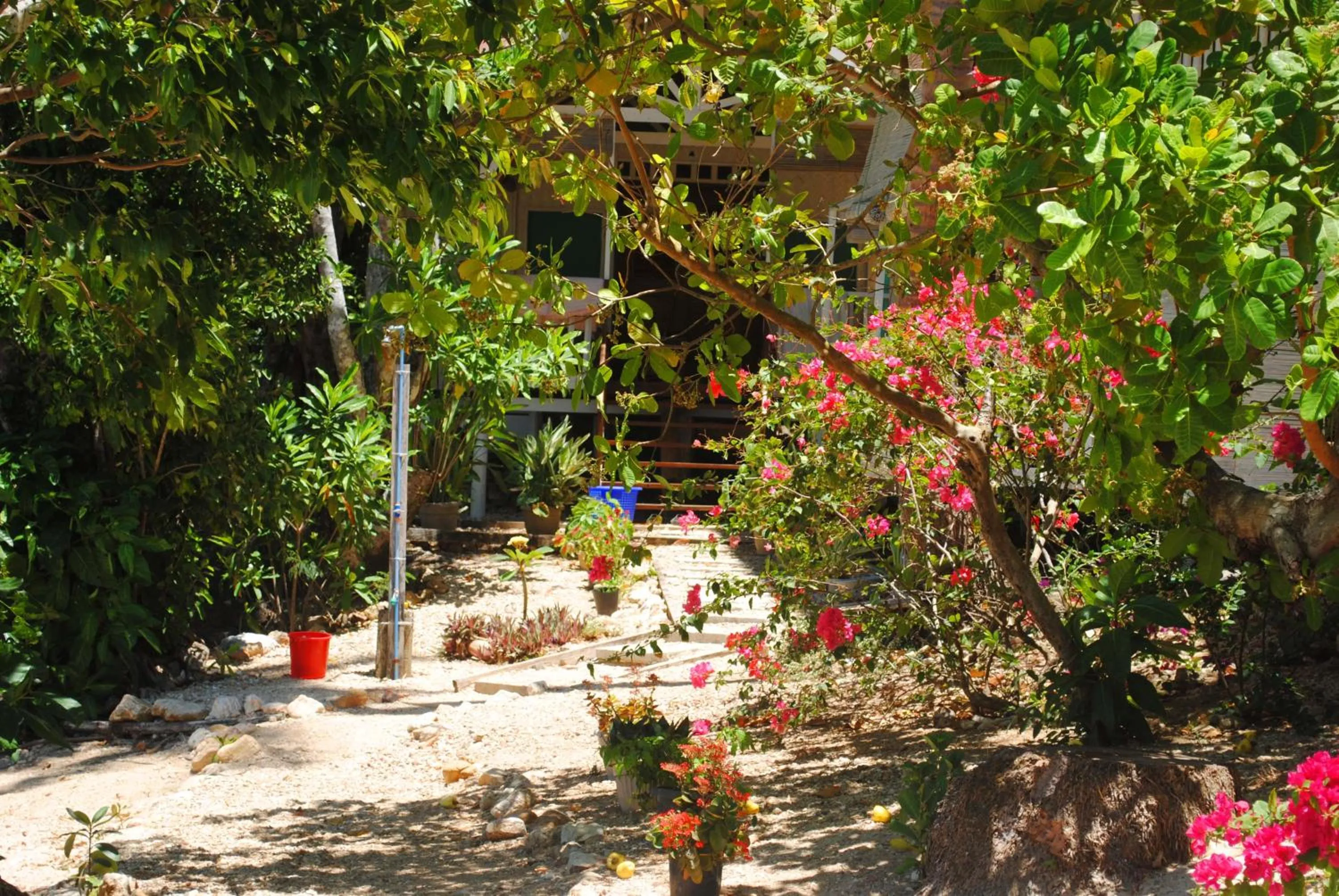 Garden in Alam Indah Beach Resort Busuanga