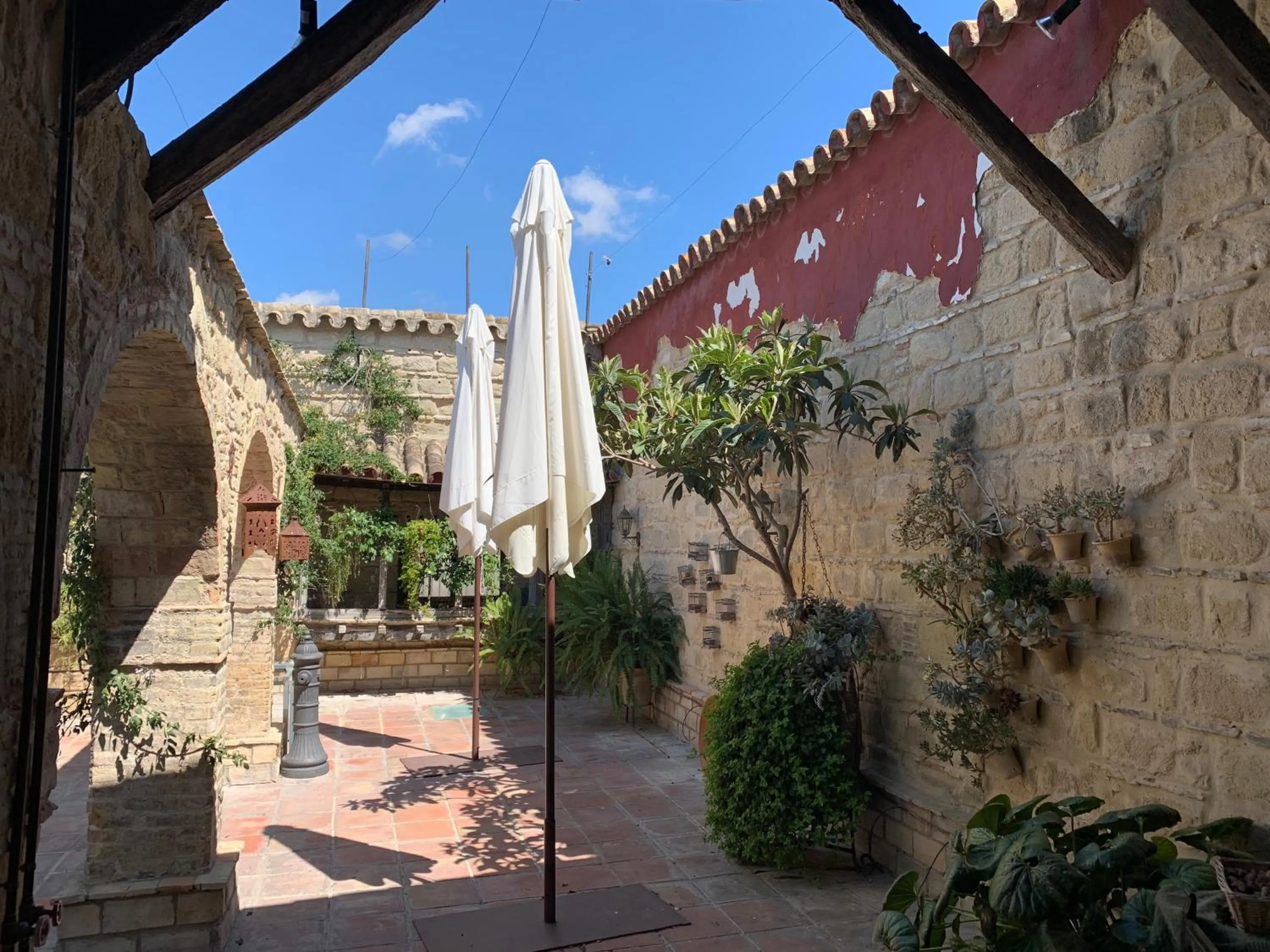 Patio in Casa Palacio Jerezana