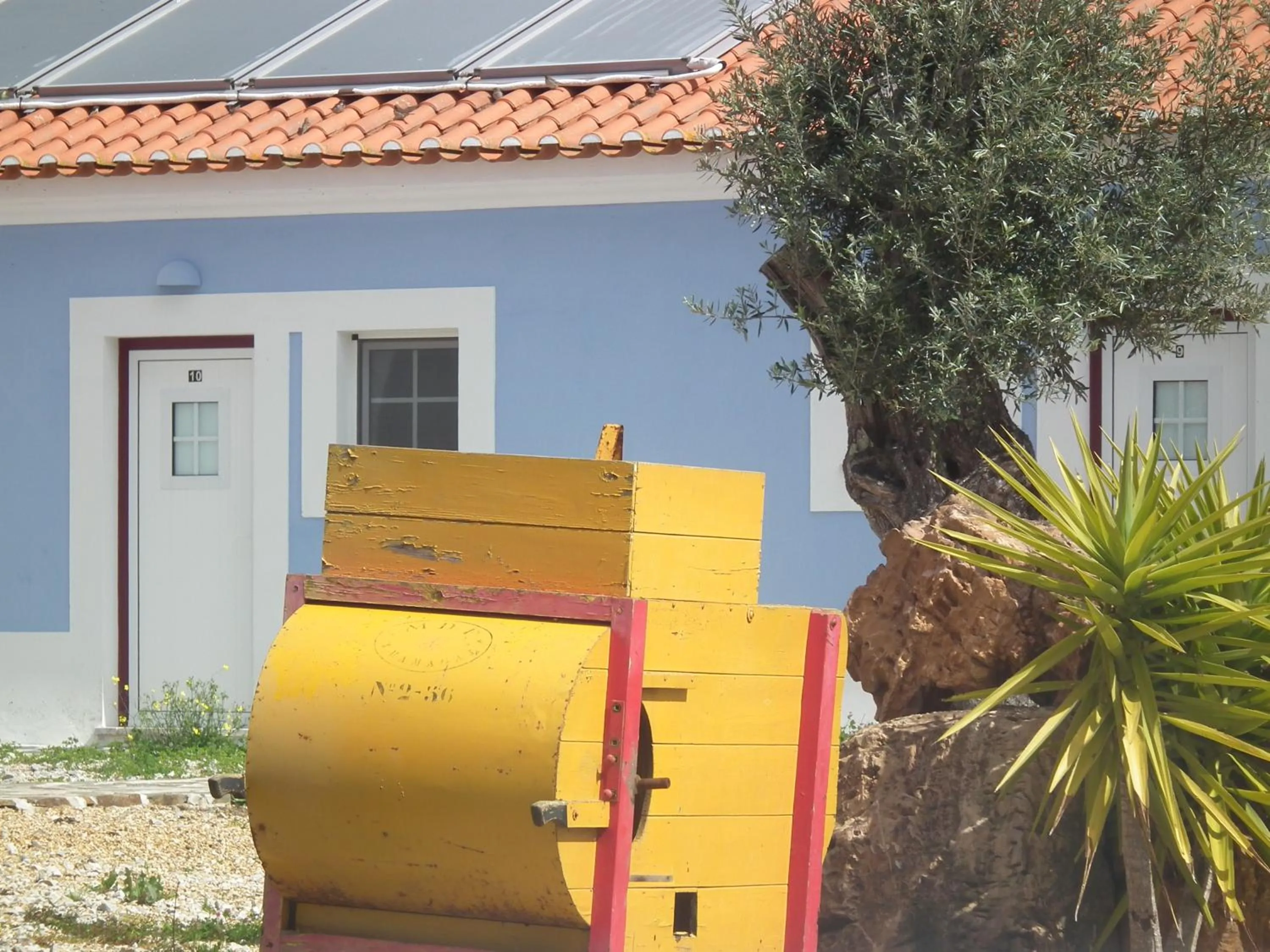 Day in Casas de Miróbriga