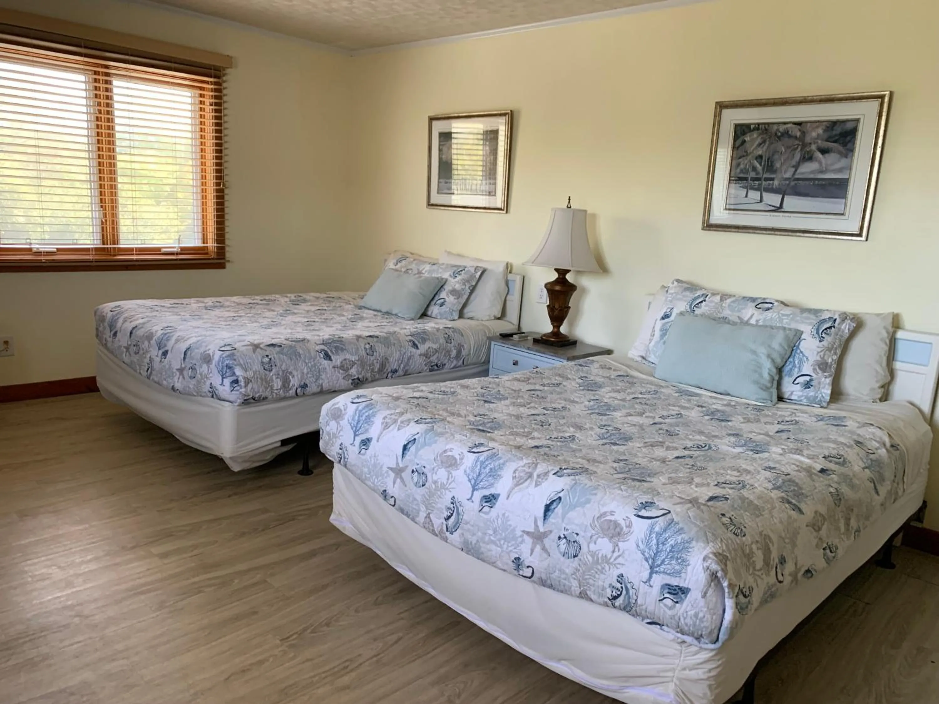 Bed in Cape Pines Motel