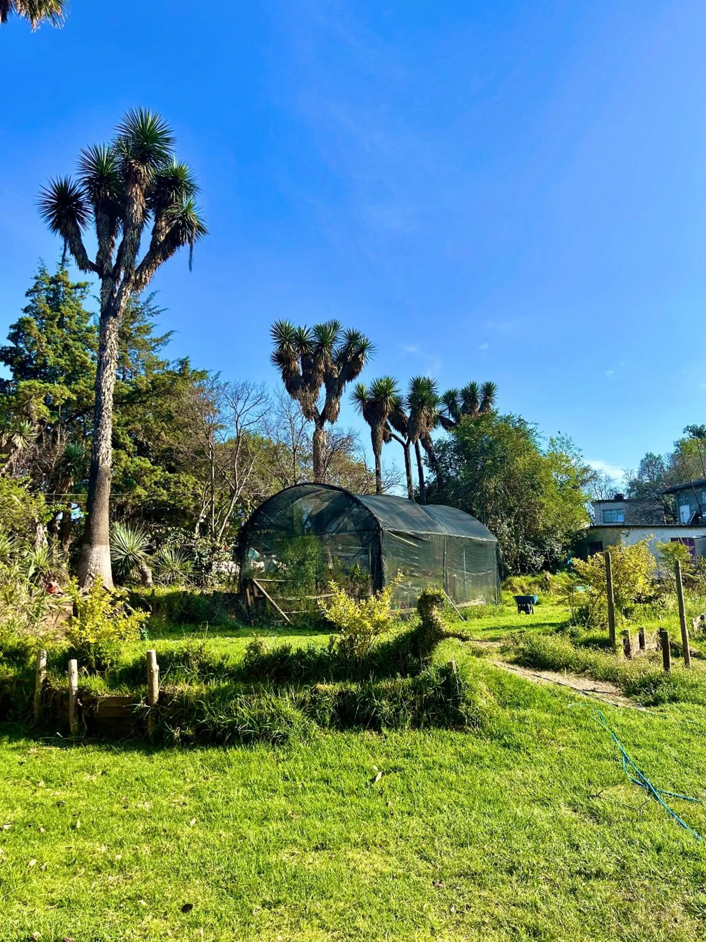 Spring in Hotel Las Palmas By GEstores