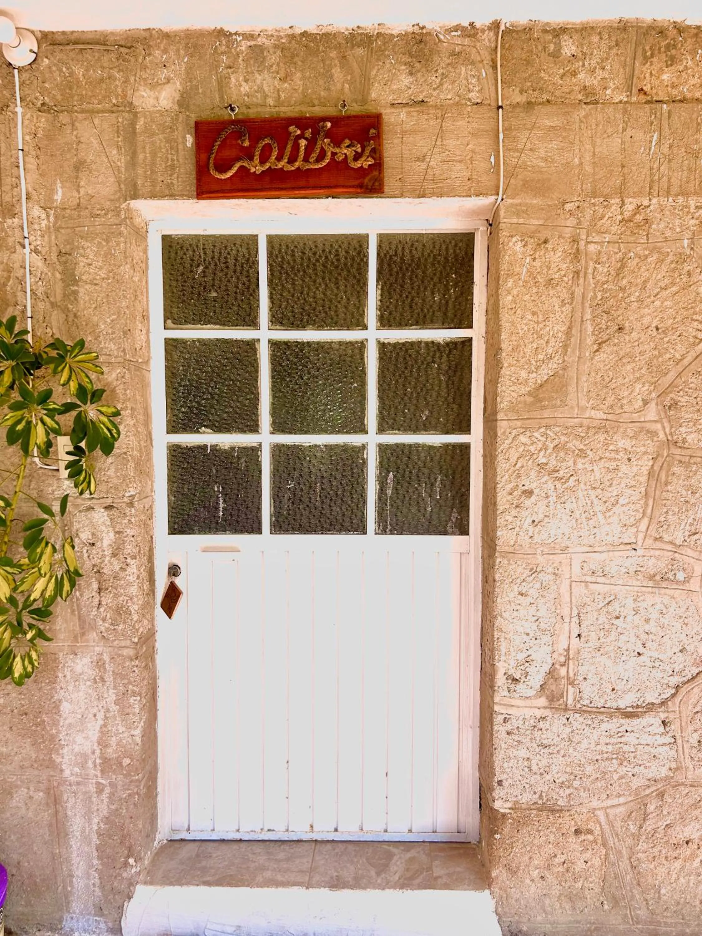 Hotel Las Palmas By GEstores