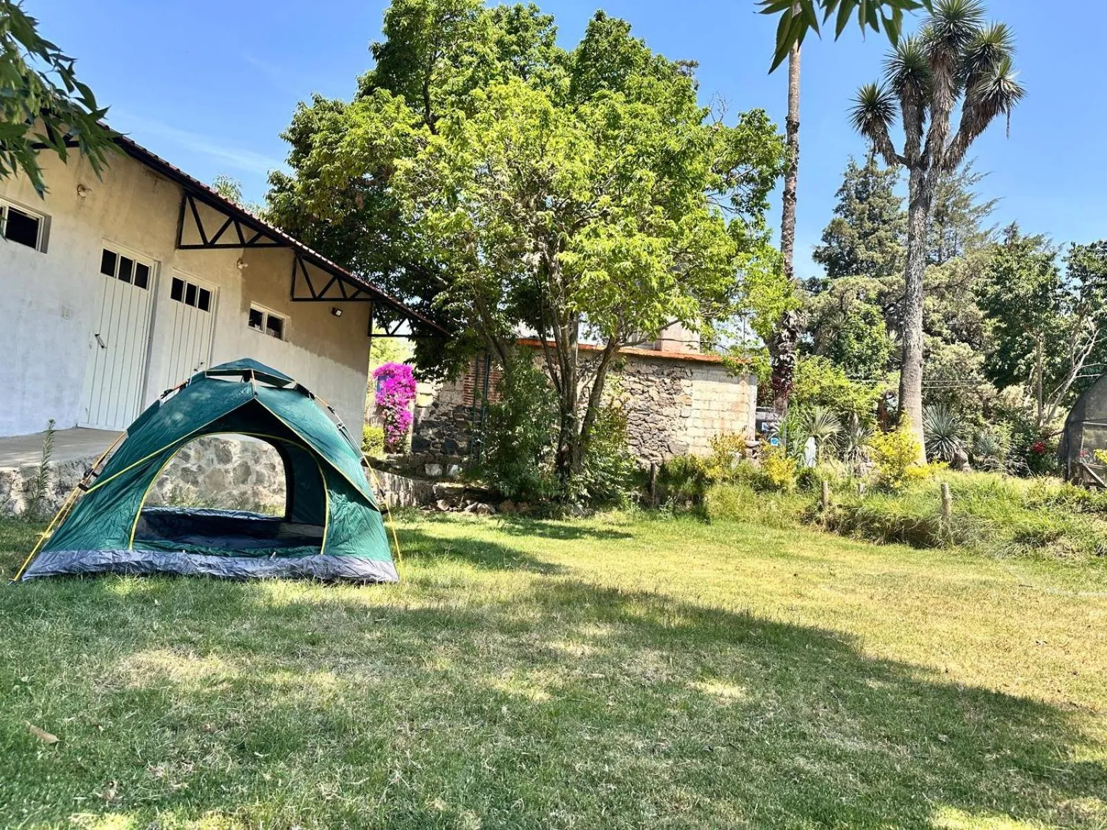 Hotel Las Palmas By GEstores