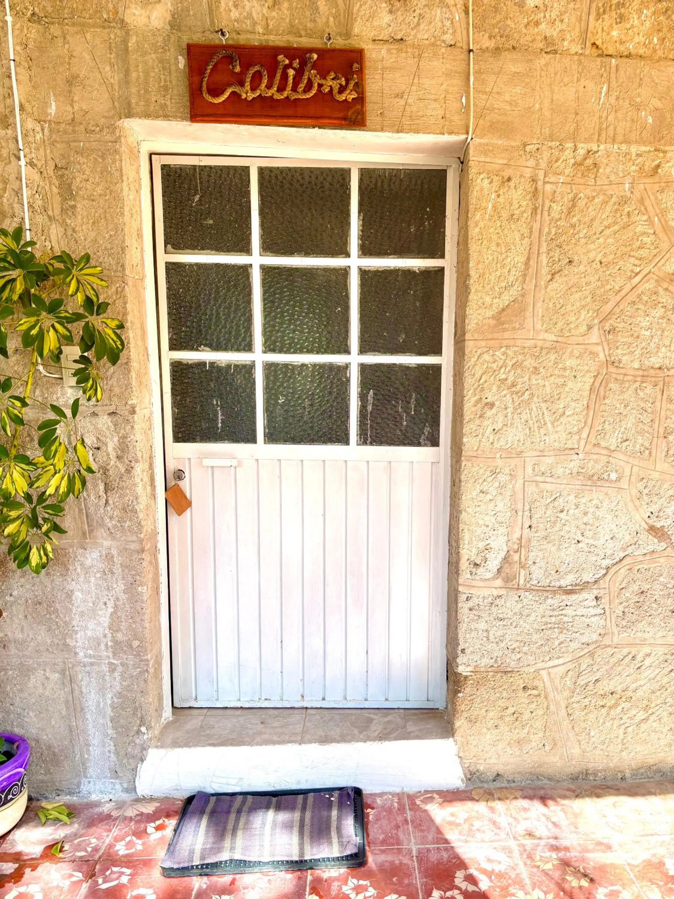 Day in Hotel Las Palmas By GEstores