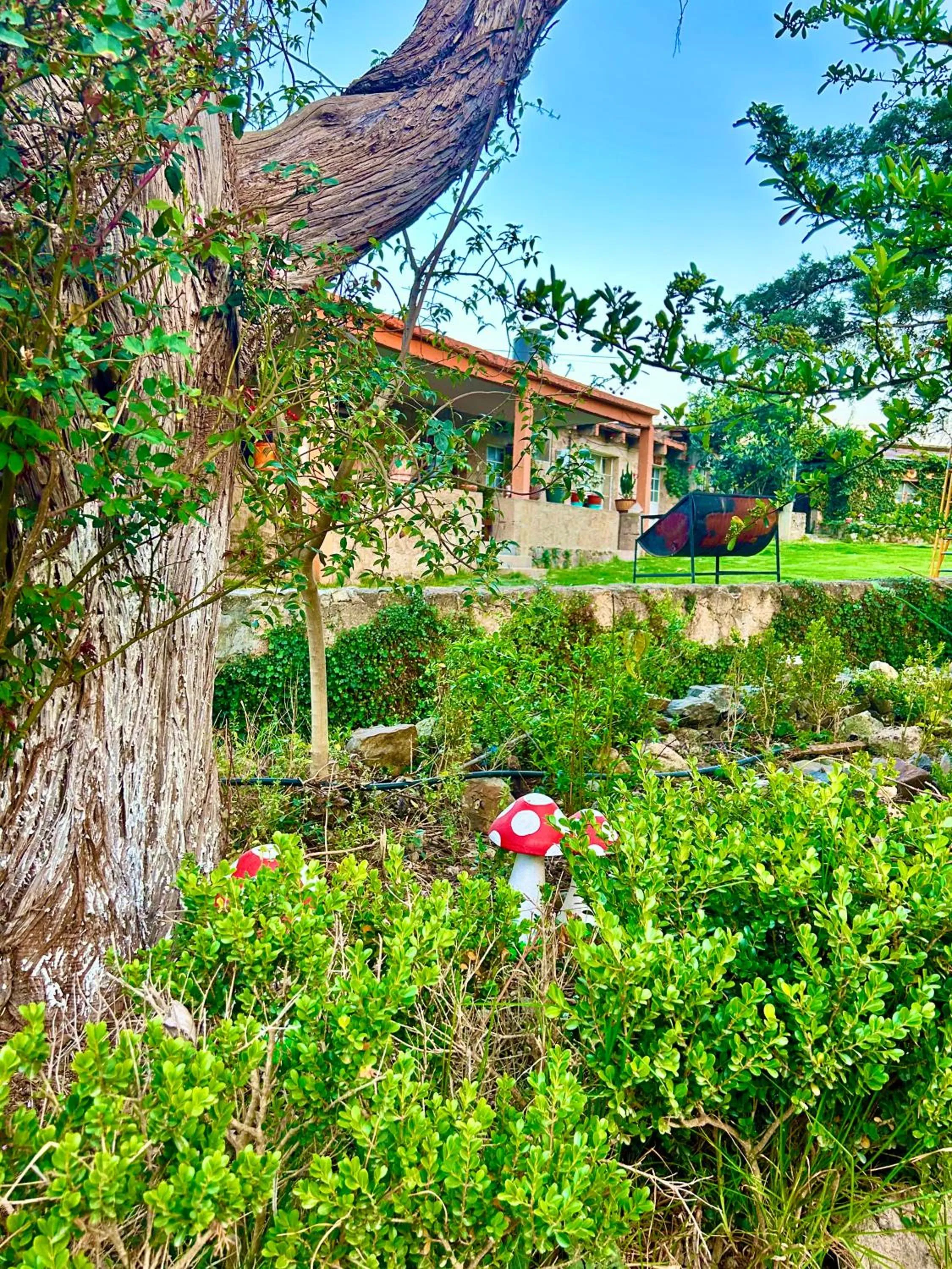 Spring in Hotel Las Palmas By GEstores