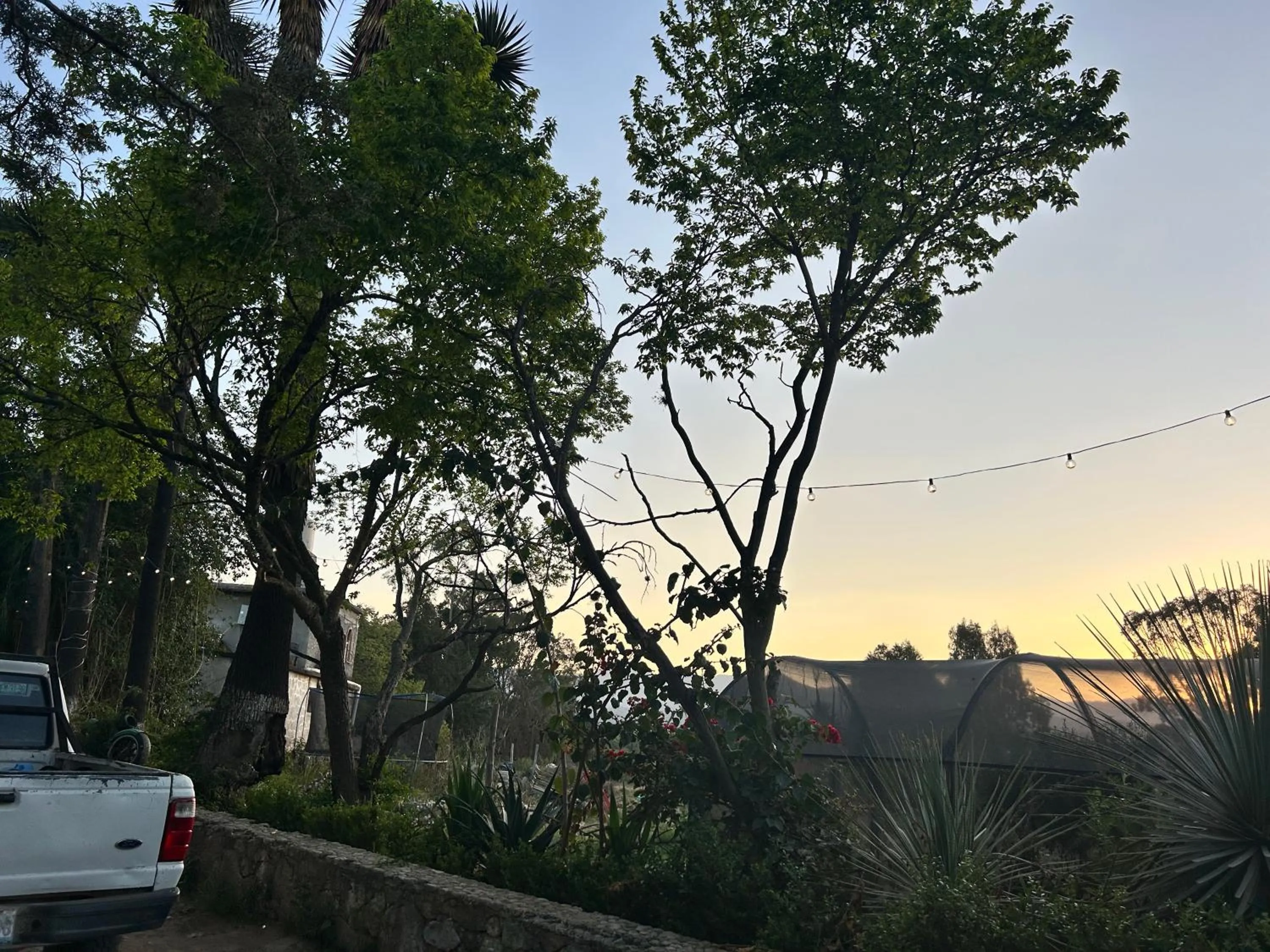 Spring in Hotel Las Palmas By GEstores