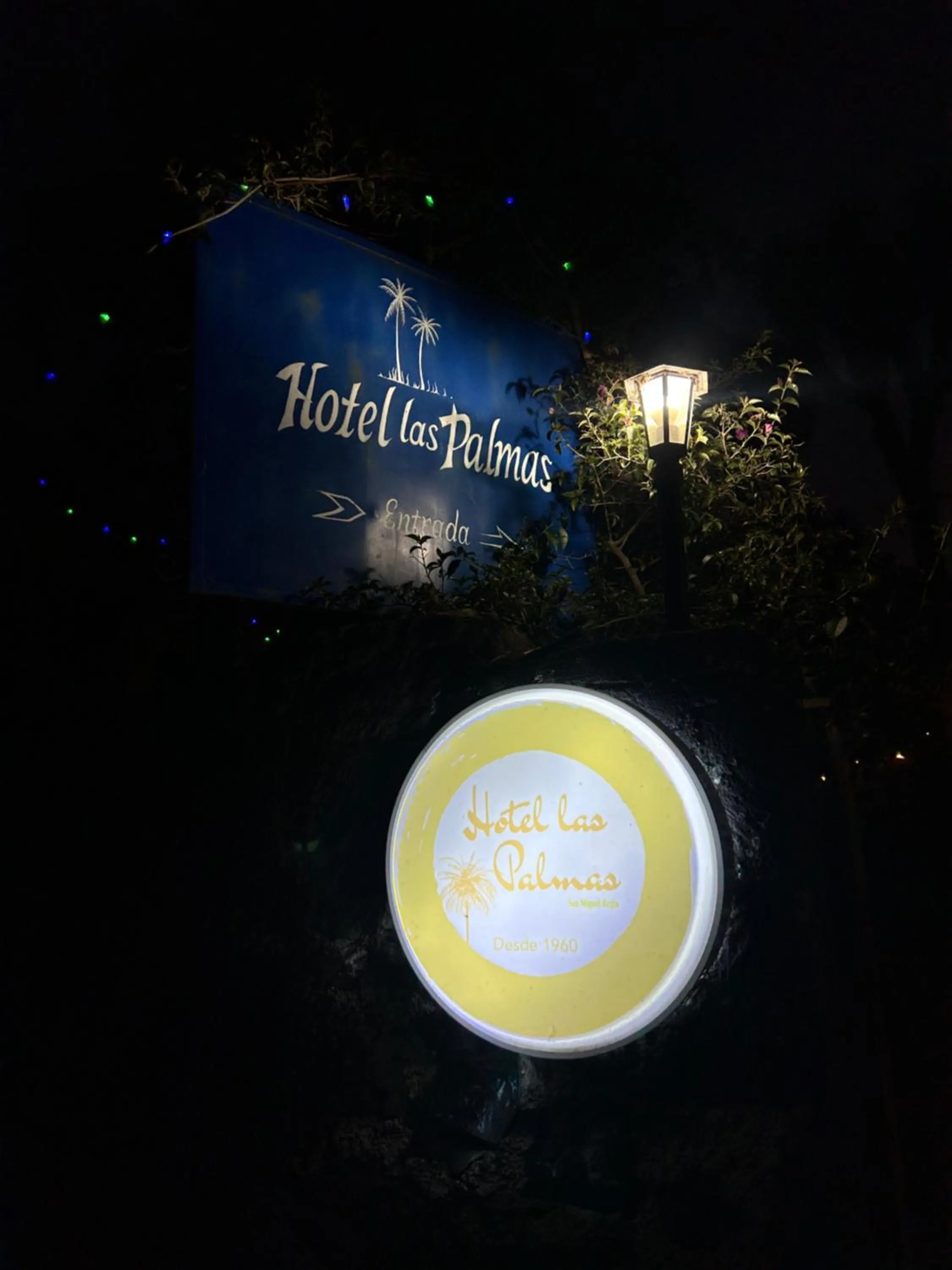 Night in Hotel Las Palmas By GEstores