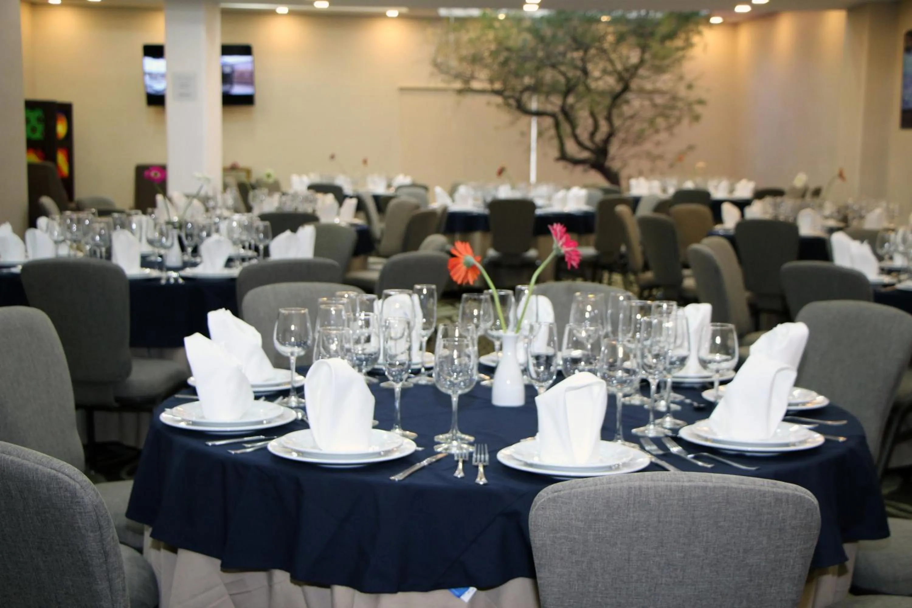 Meeting/conference room in Four Points by Sheraton Queretaro Norte