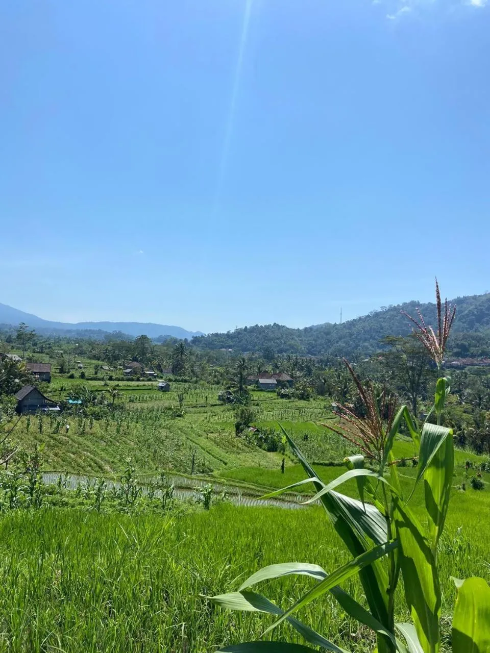 Day in Beji Ayu Villas Sidemen