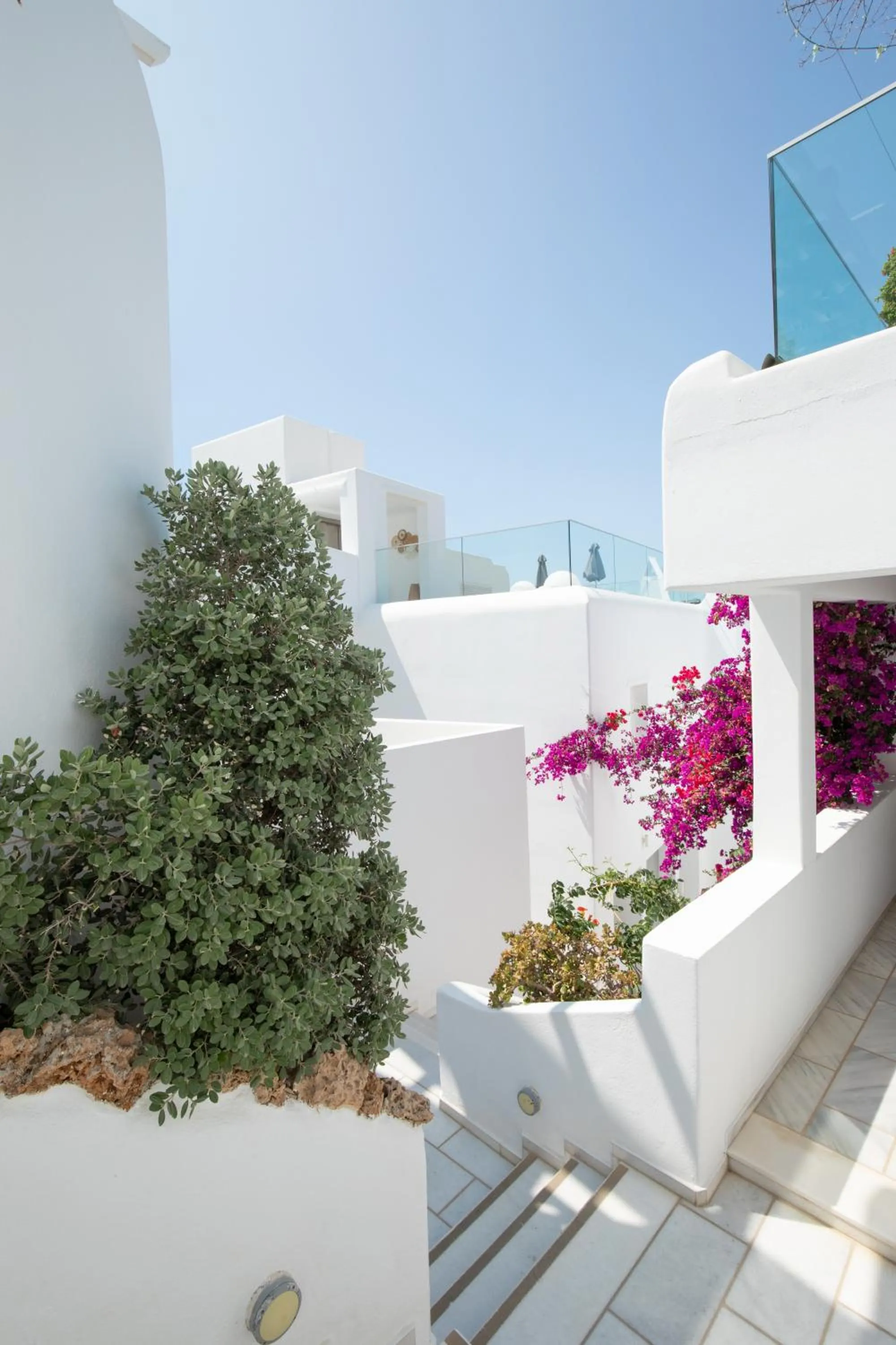 Garden in The George Hotel Mykonos