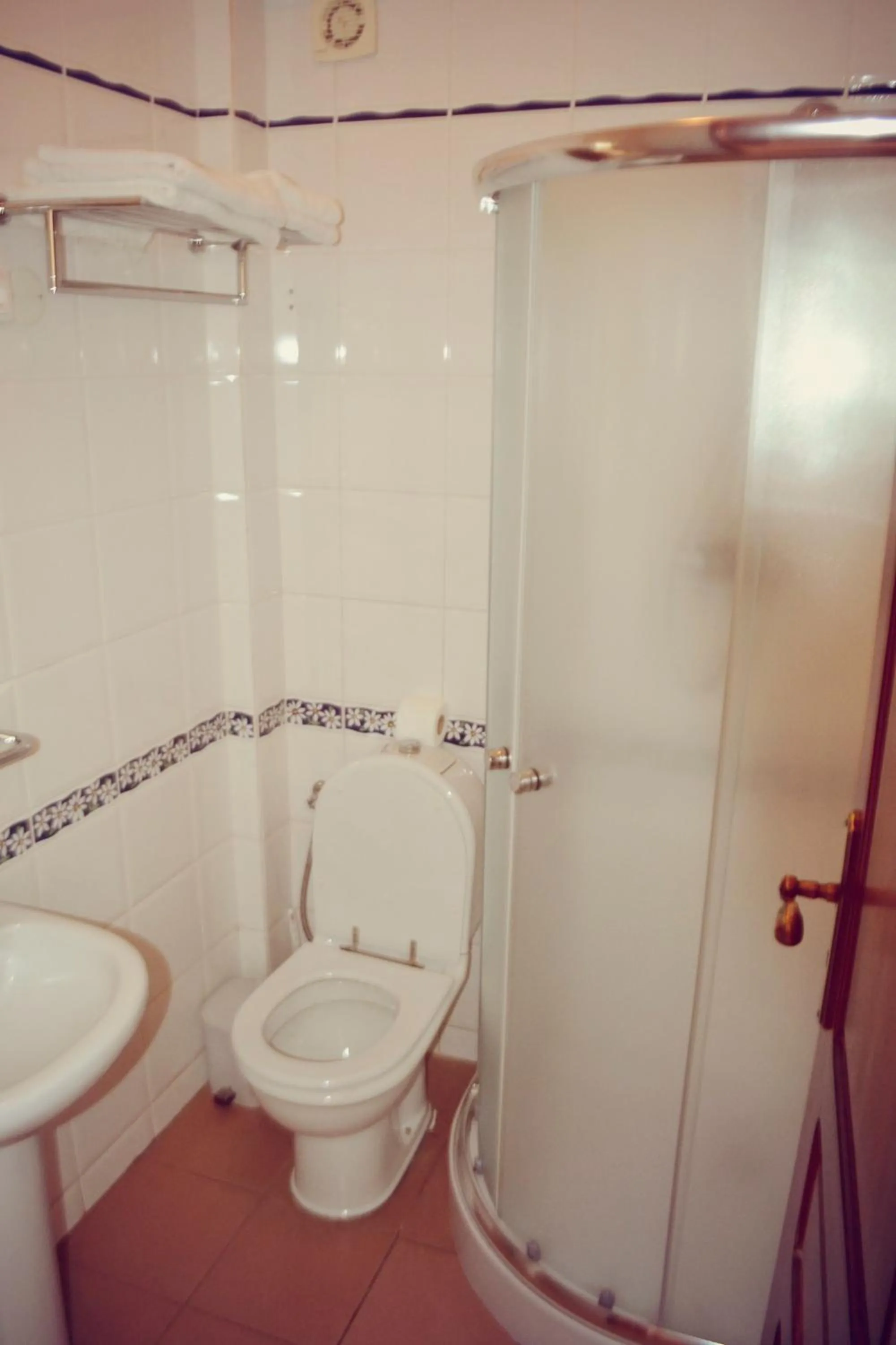 Toilet in Residencial Cosmos