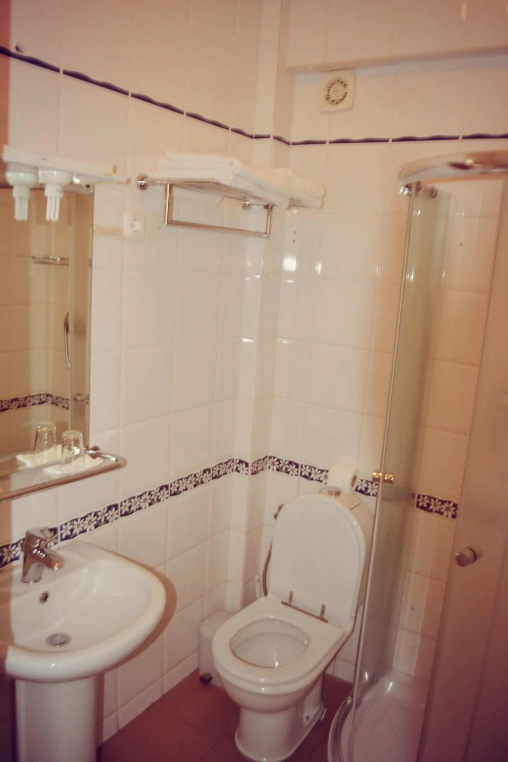 Toilet in Residencial Cosmos