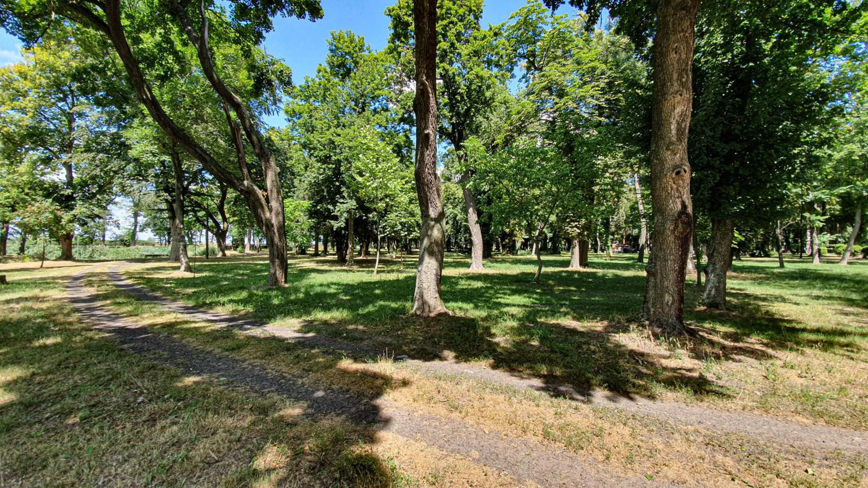 Neighbourhood in Dworek Brodowo Restauracja Hotel Przyjęcia
