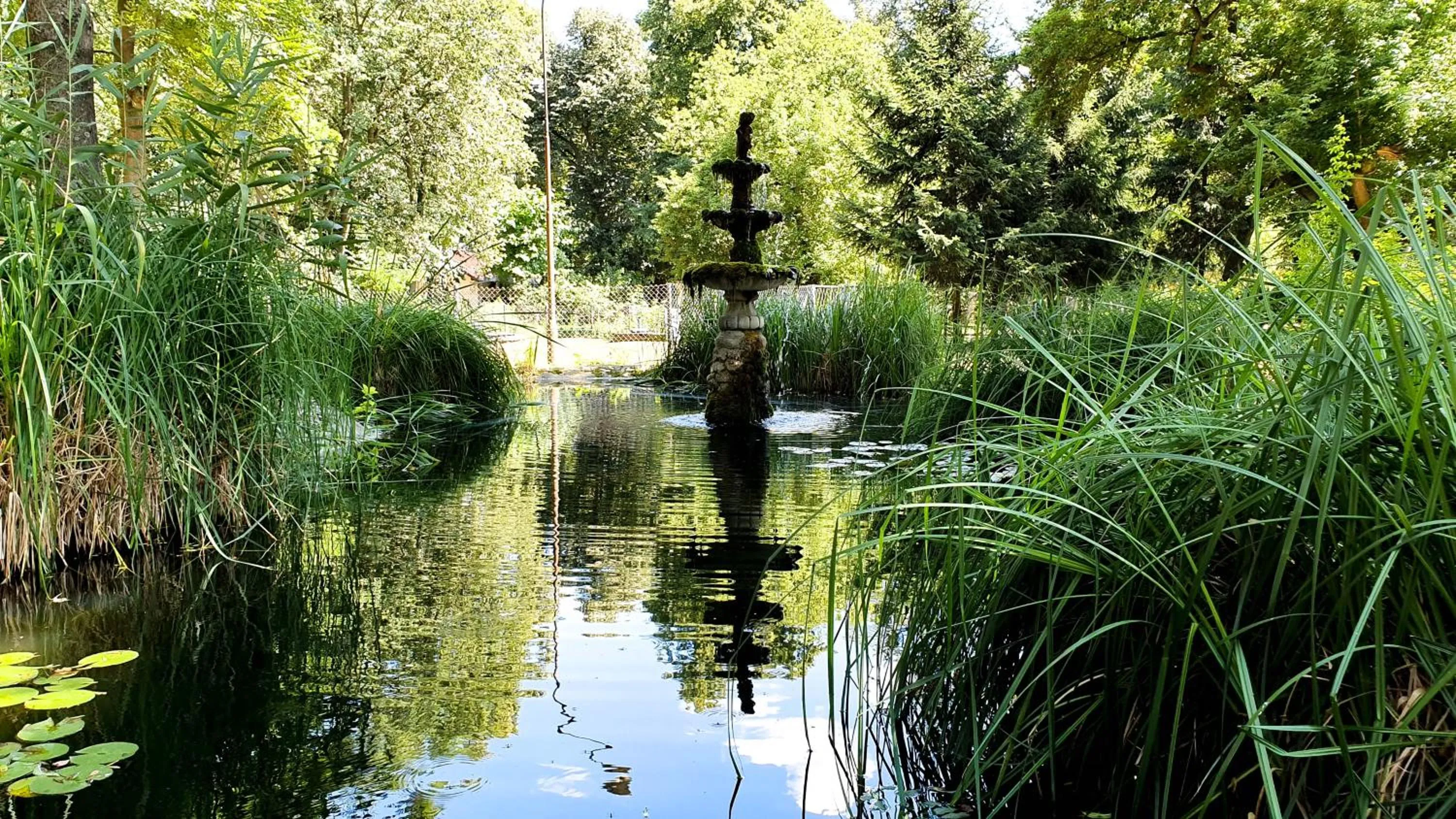 Neighbourhood in Dworek Brodowo Restauracja Hotel Przyjęcia
