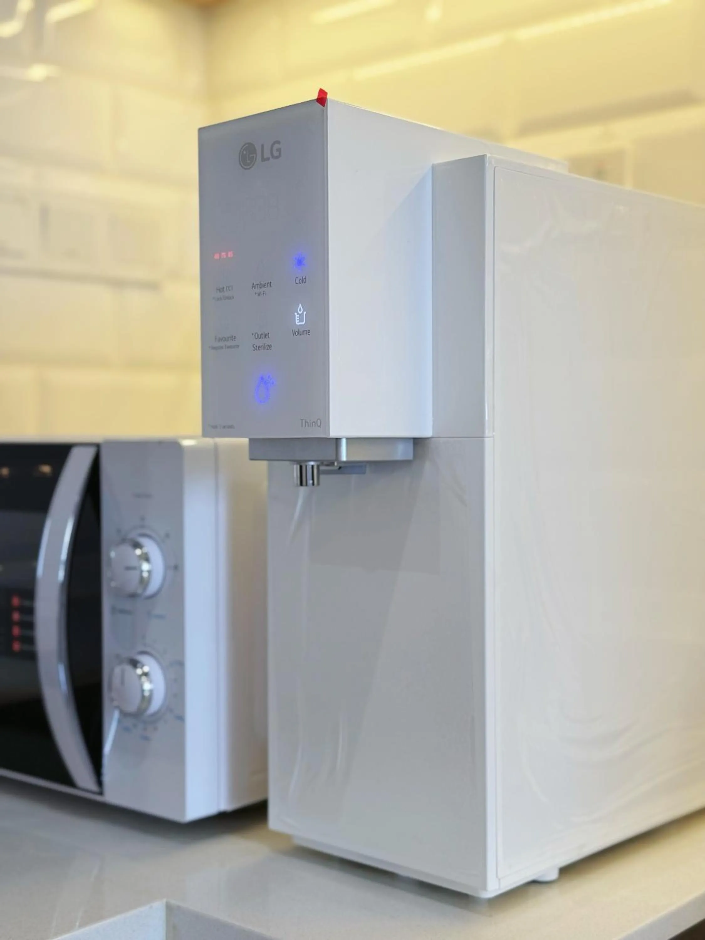 Kitchen or kitchenette in Iconic Regency by Stellar ALV