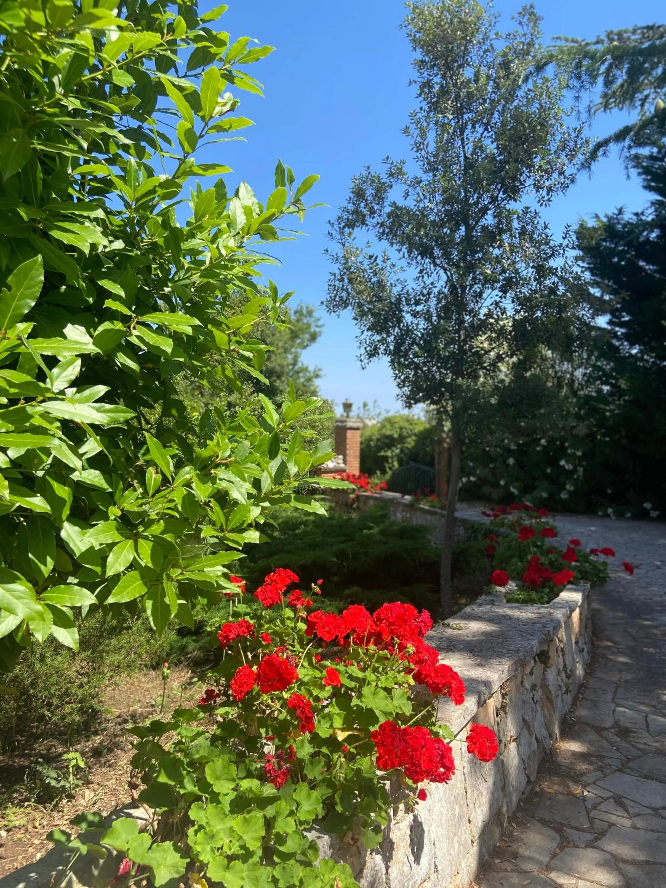Villa Marzano