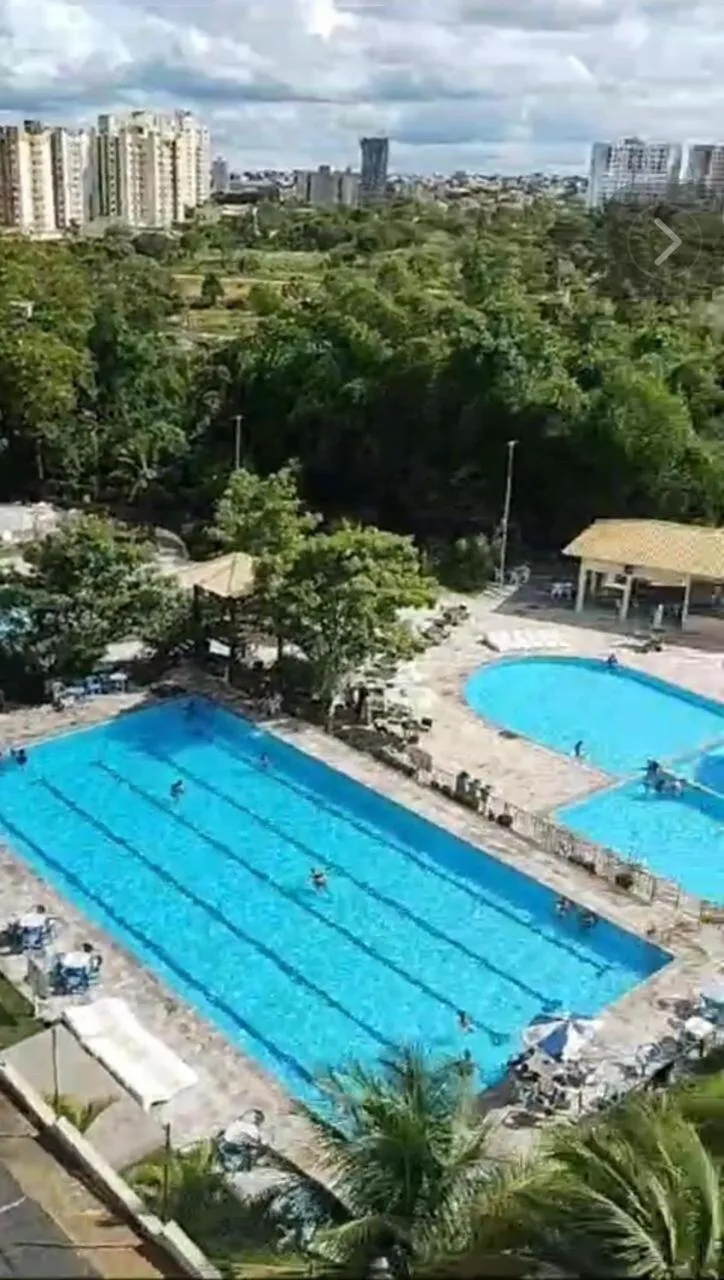 Golden Dolphin Express