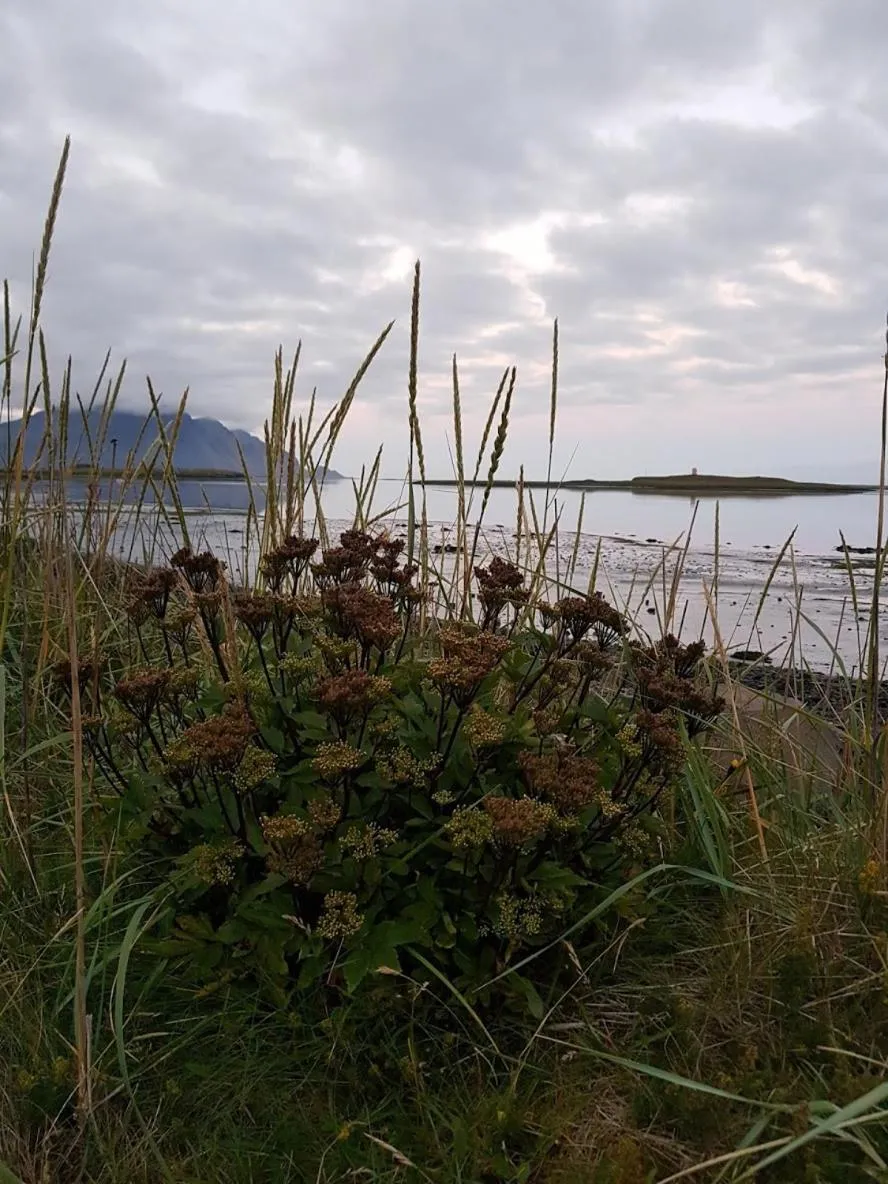 Natural landscape in Old Airline Guesthouse