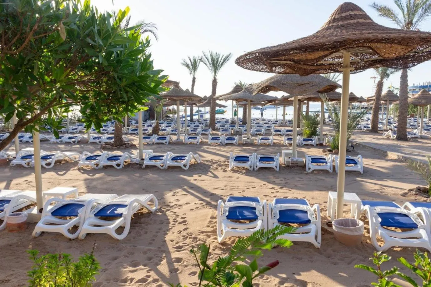 Cataract Layalina Naama Bay