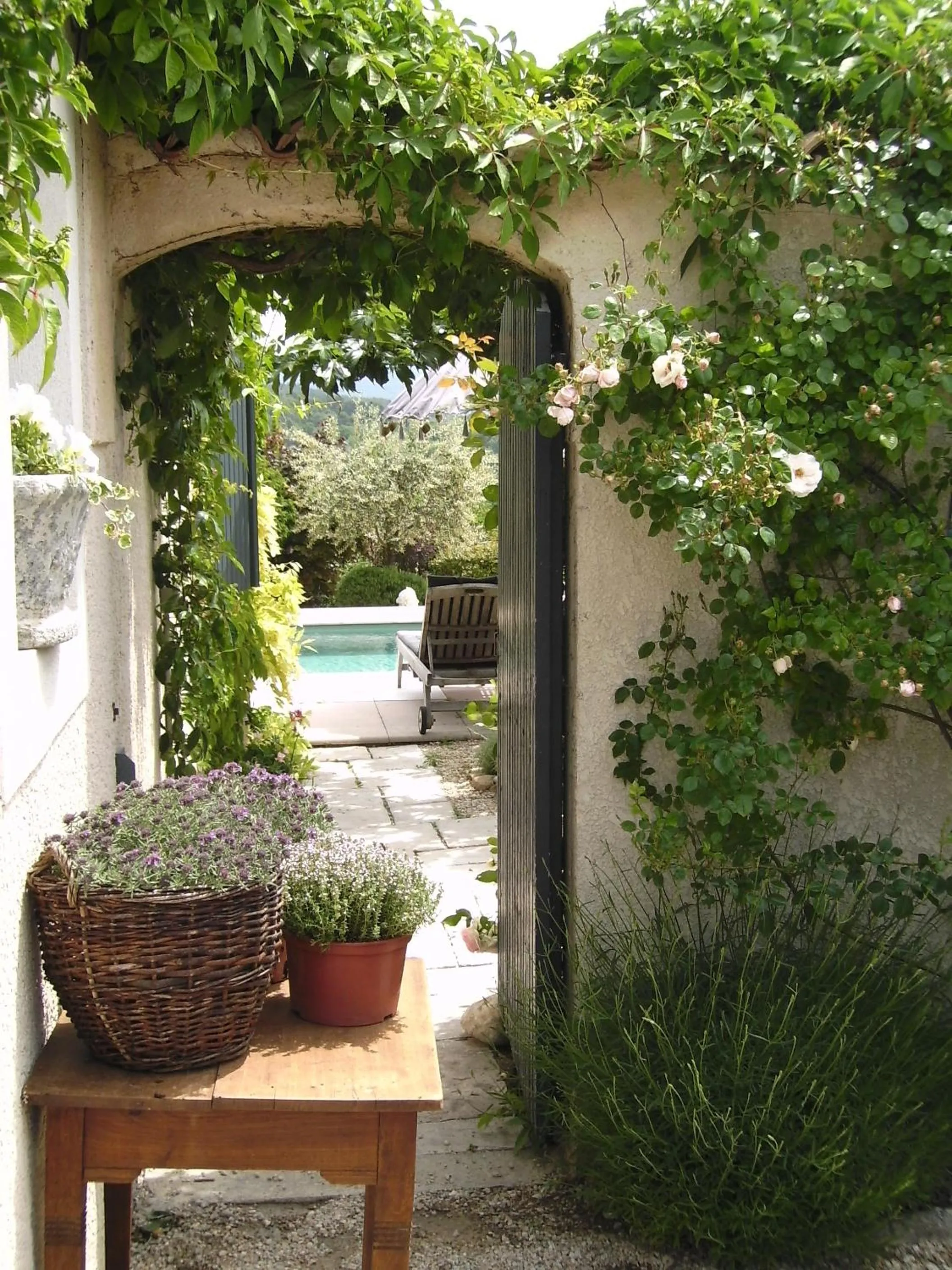 Garden view in "Le Vent d'Étoile" B&B and Guesthouses