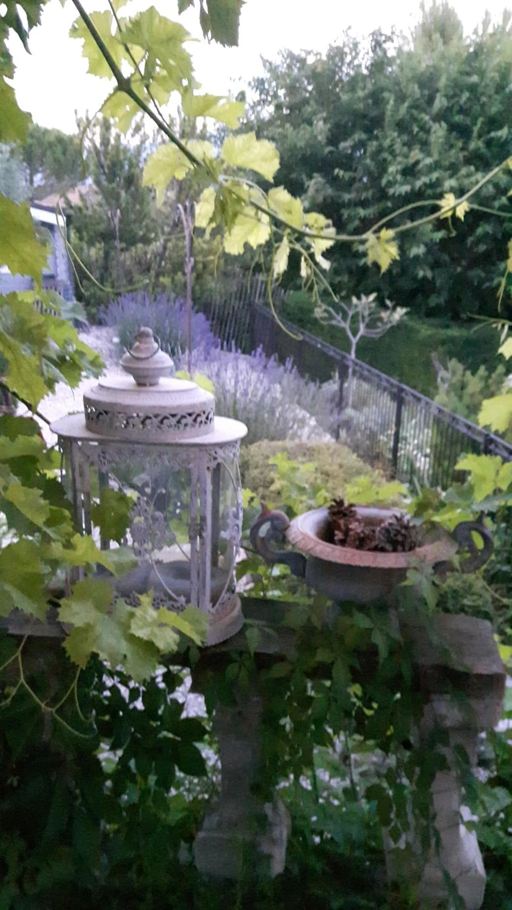 Garden in "Le Vent d'Étoile" B&B and Guesthouses