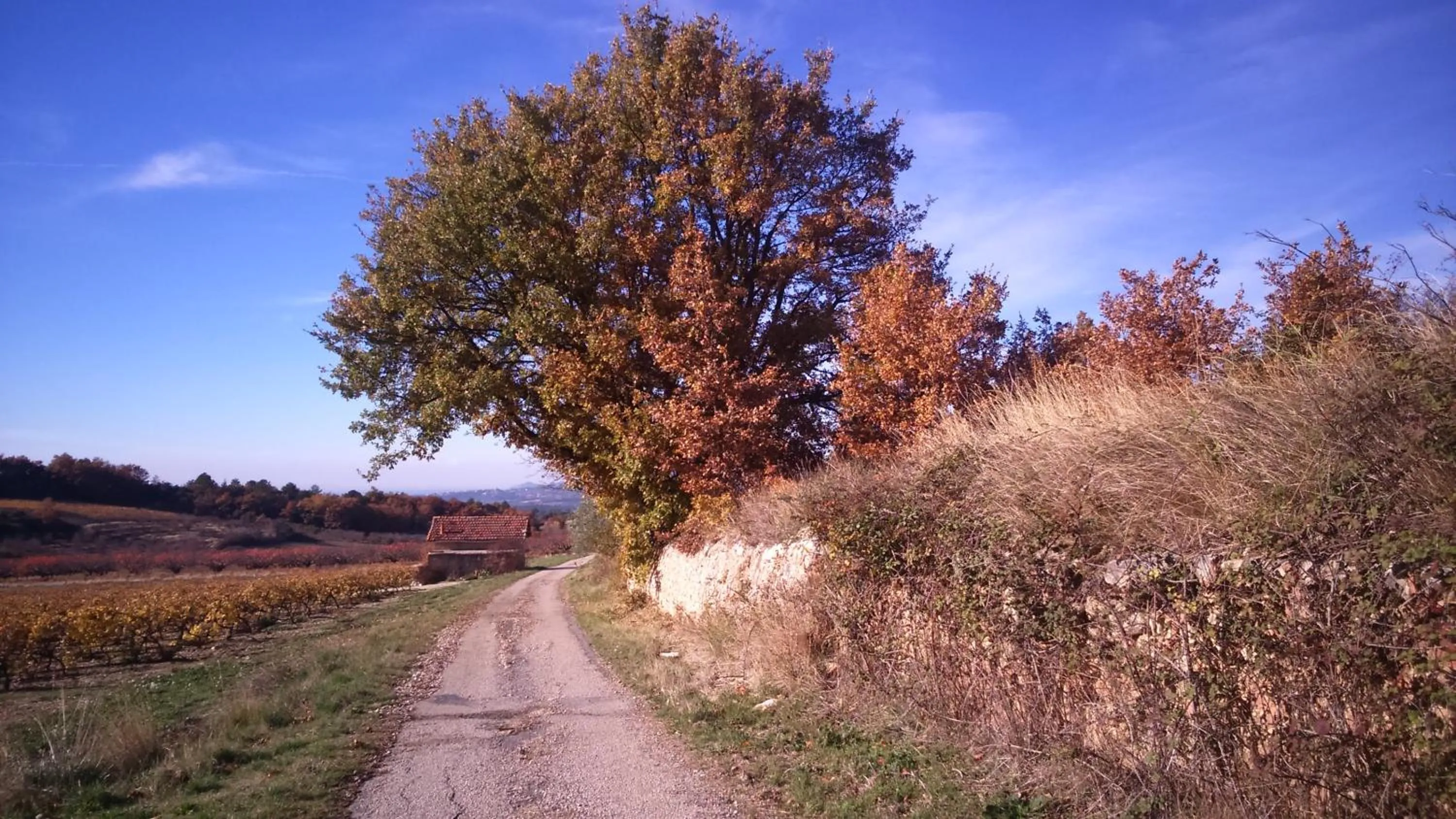"Le Vent d'Étoile" B&B and Guesthouses
