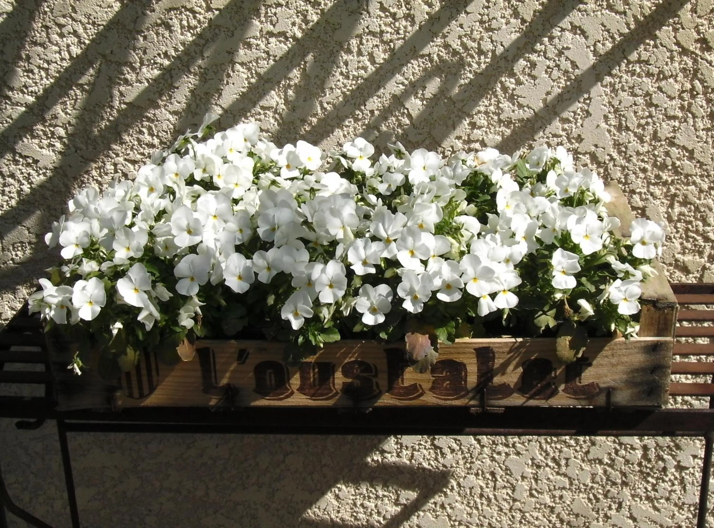 Garden view in "Le Vent d'Étoile" B&B and Guesthouses