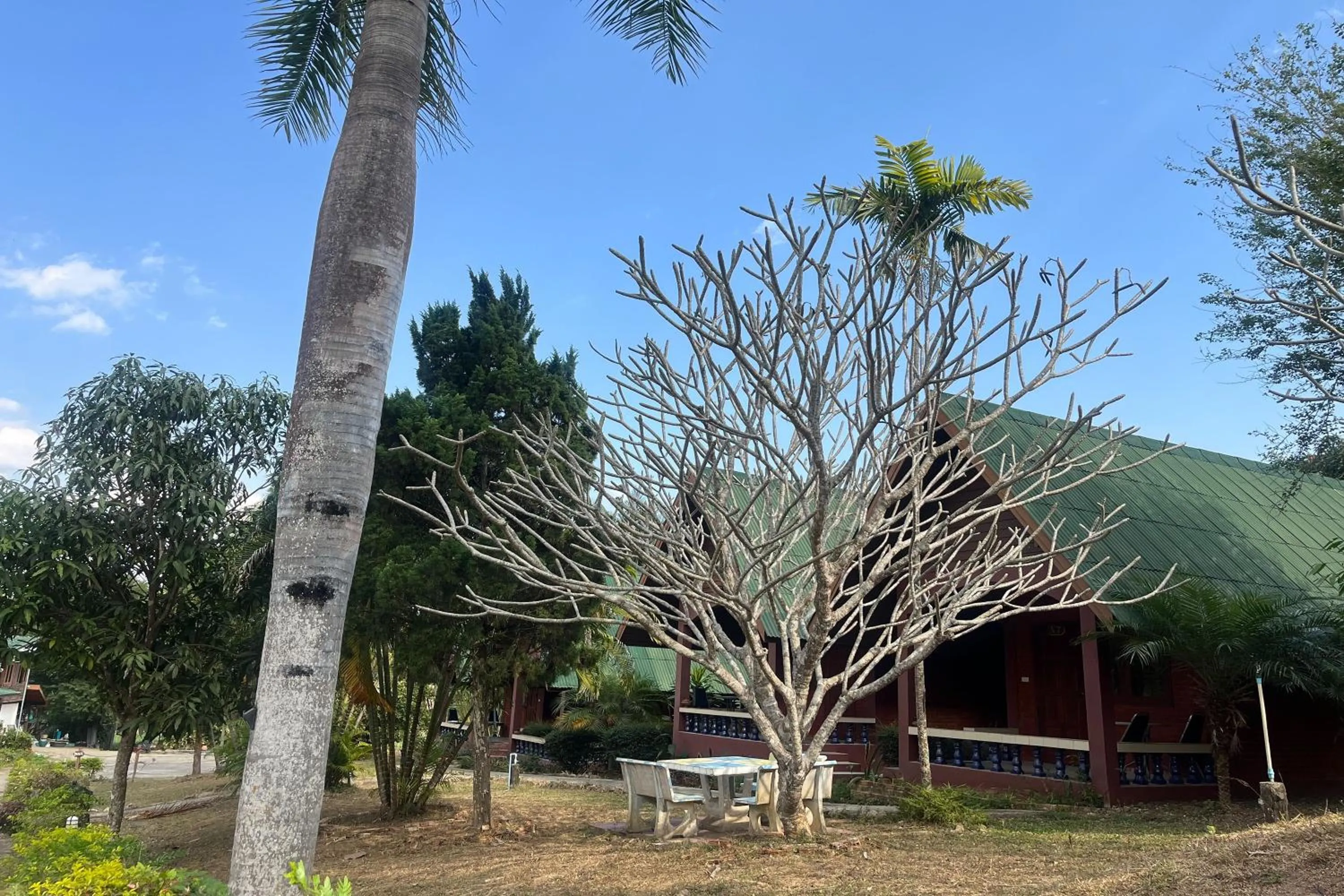 Natural landscape in PAI Hillside Resort