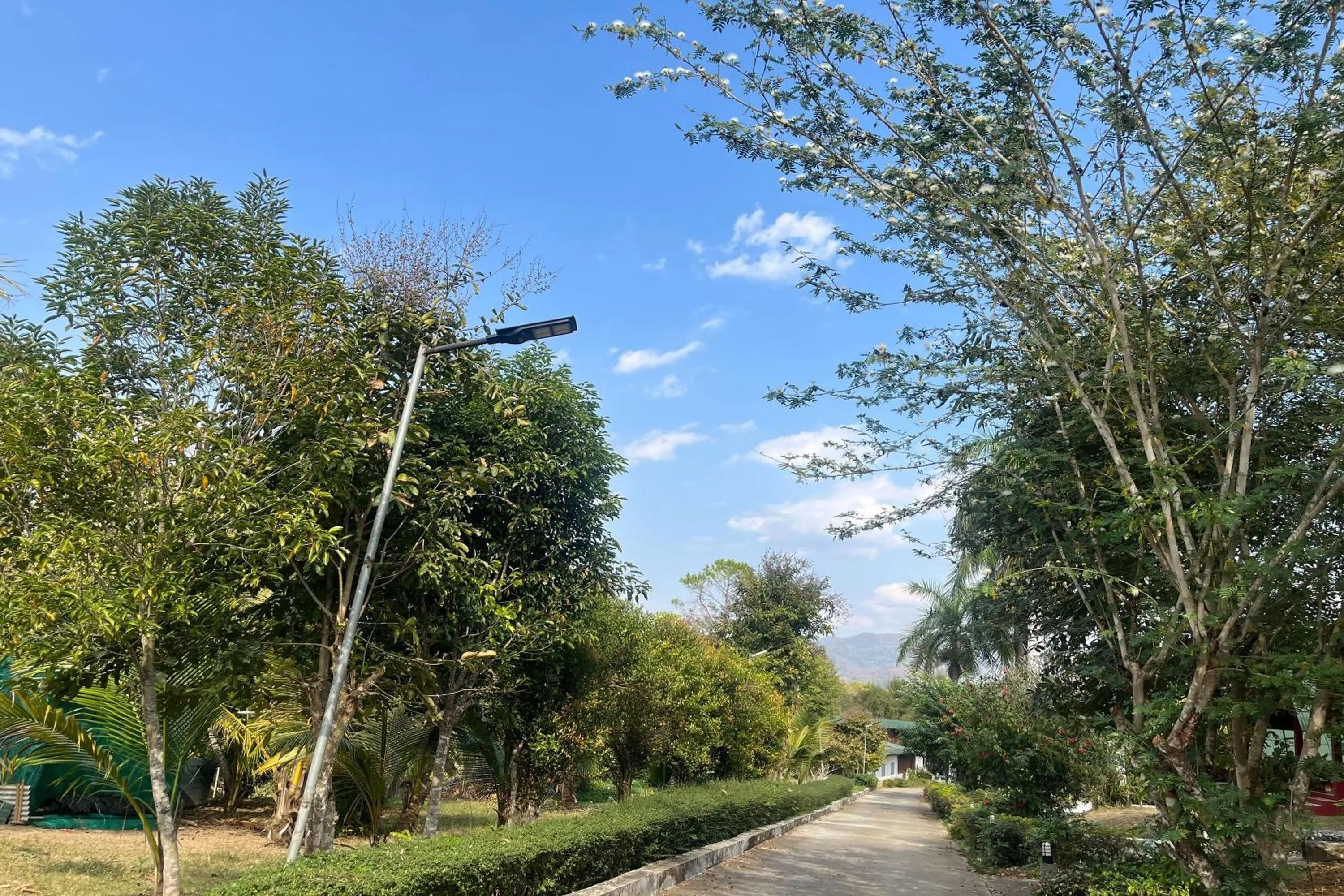 Natural landscape in PAI Hillside Resort