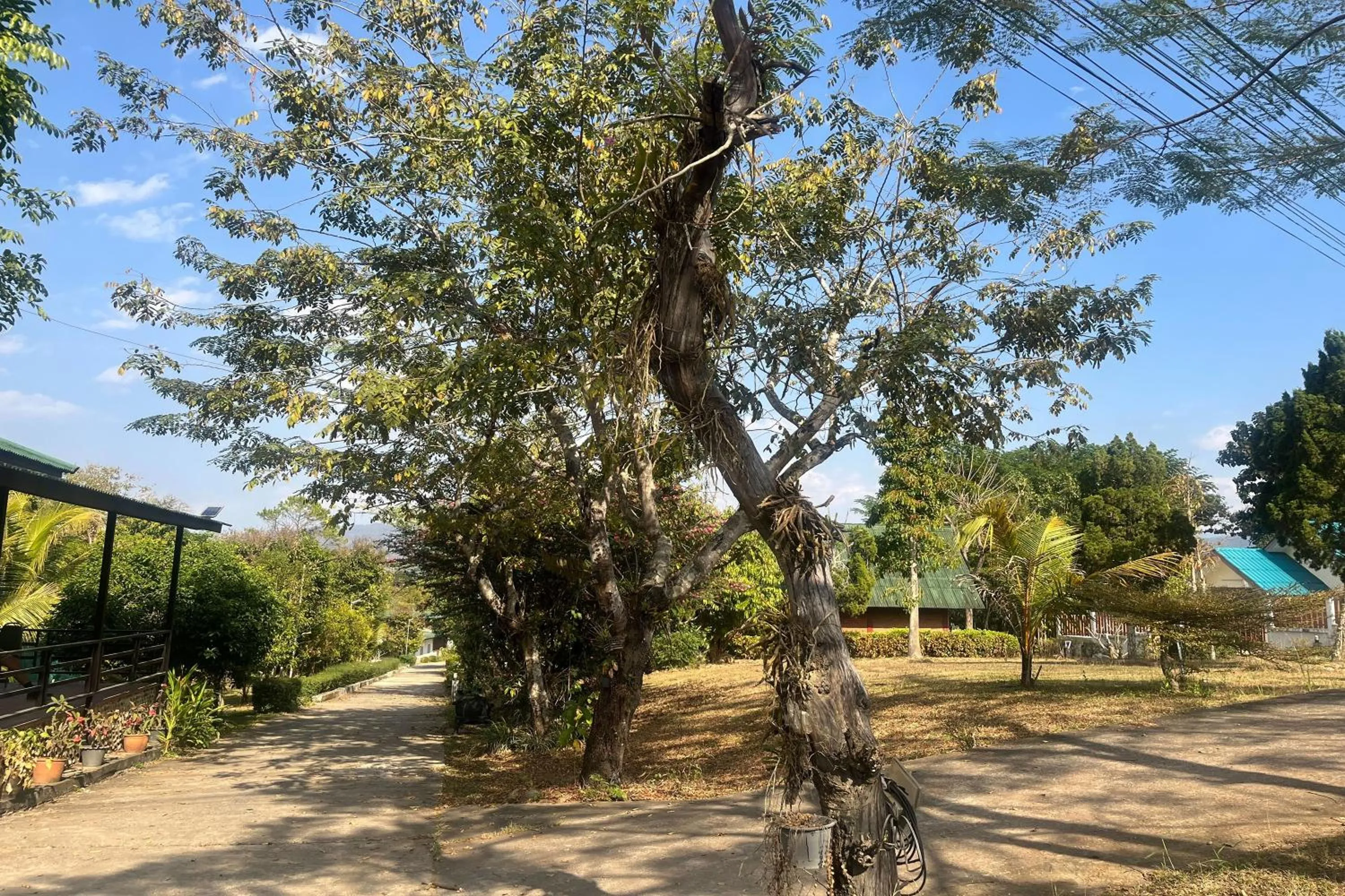 Property building in PAI Hillside Resort