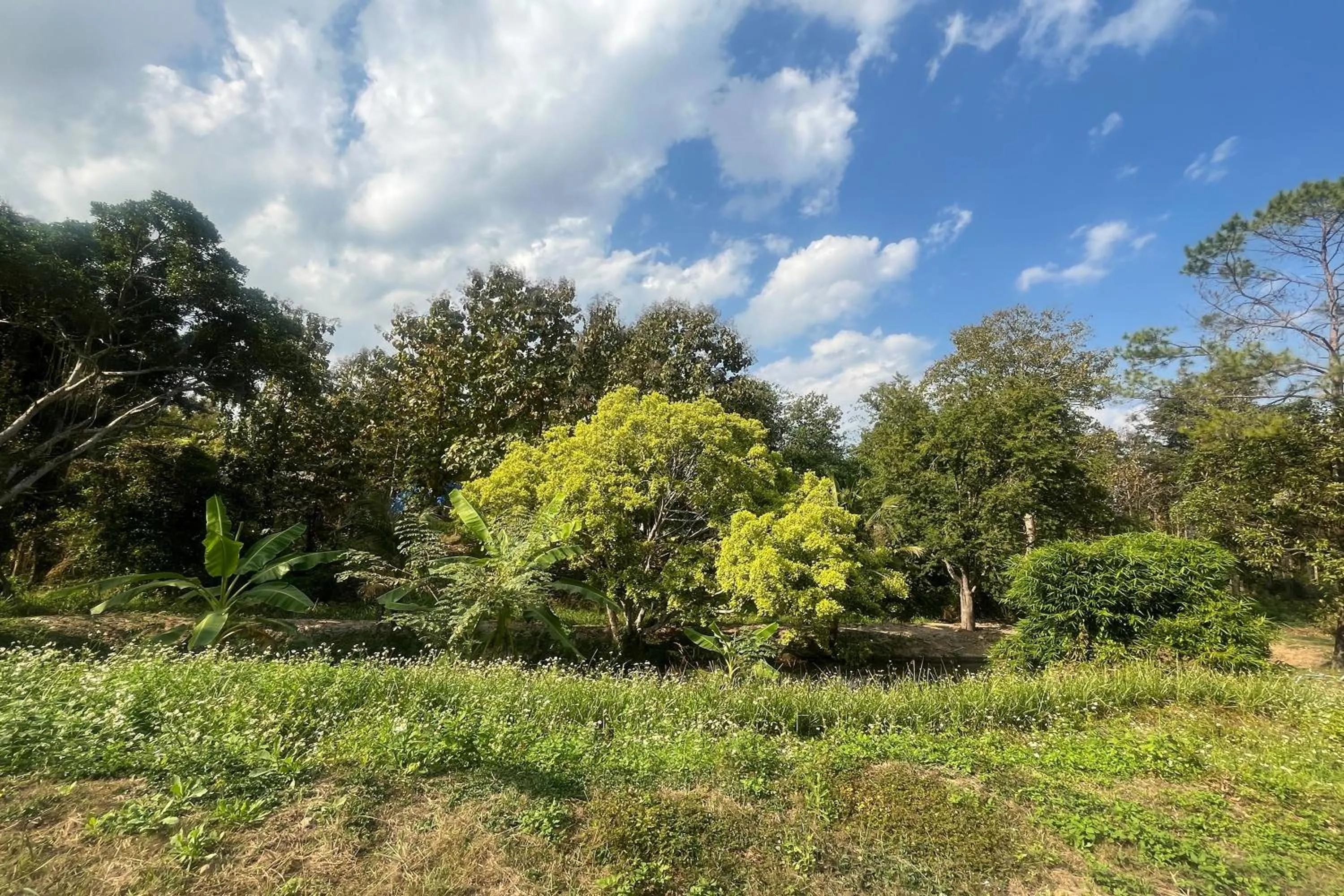 Natural landscape in PAI Hillside Resort