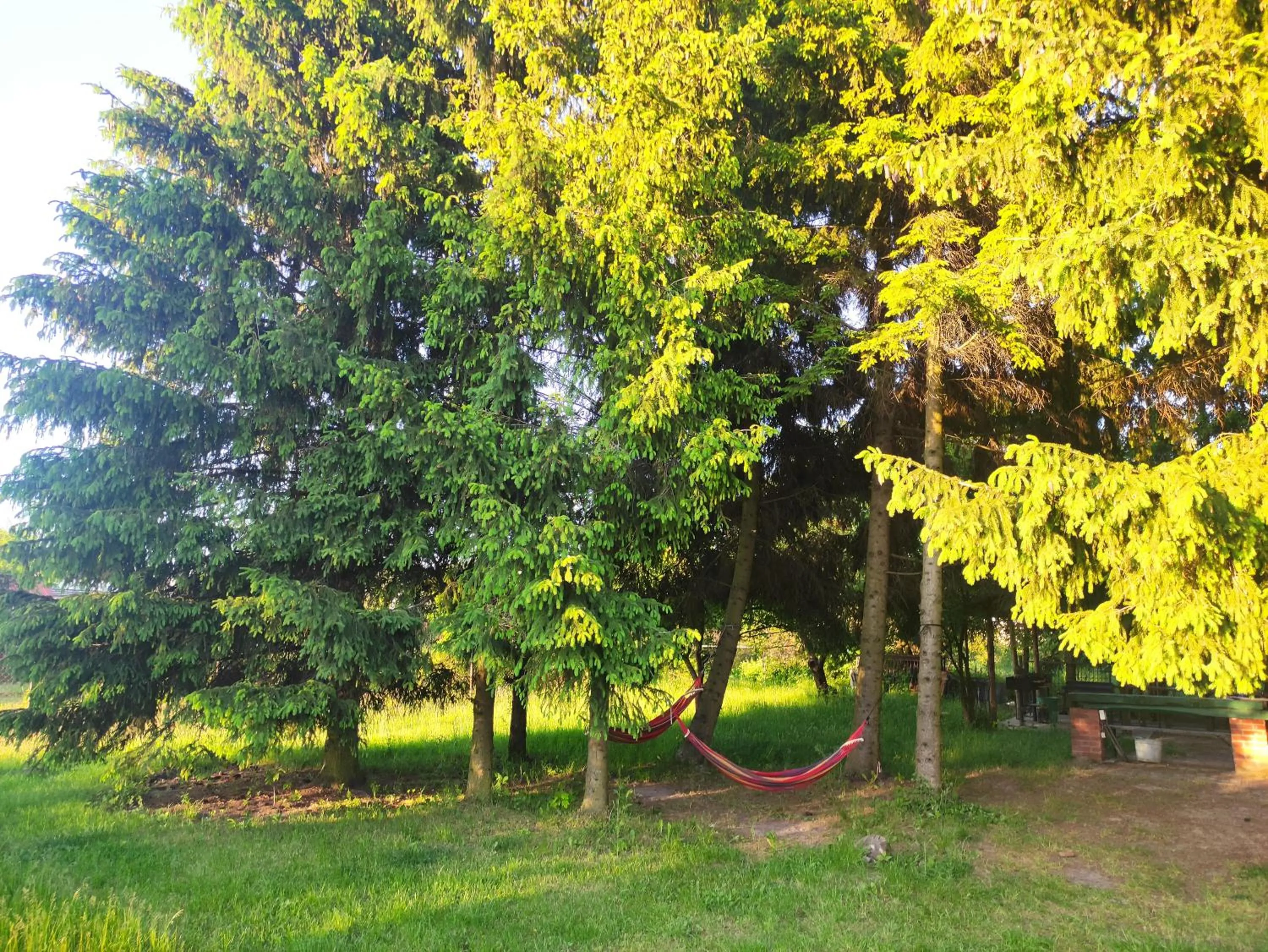 Spring in Gościniec Celina