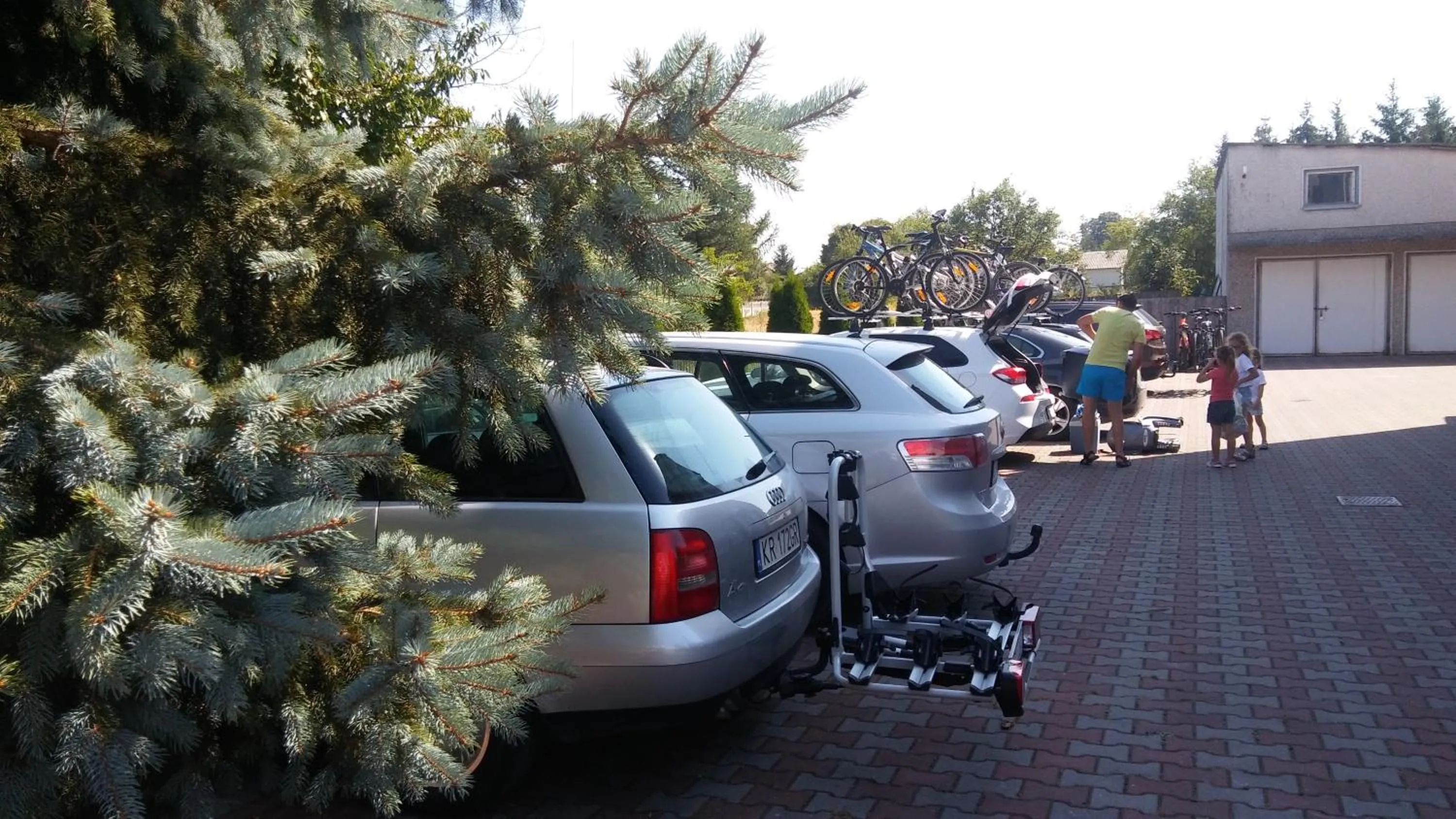 Other in Gościniec Celina