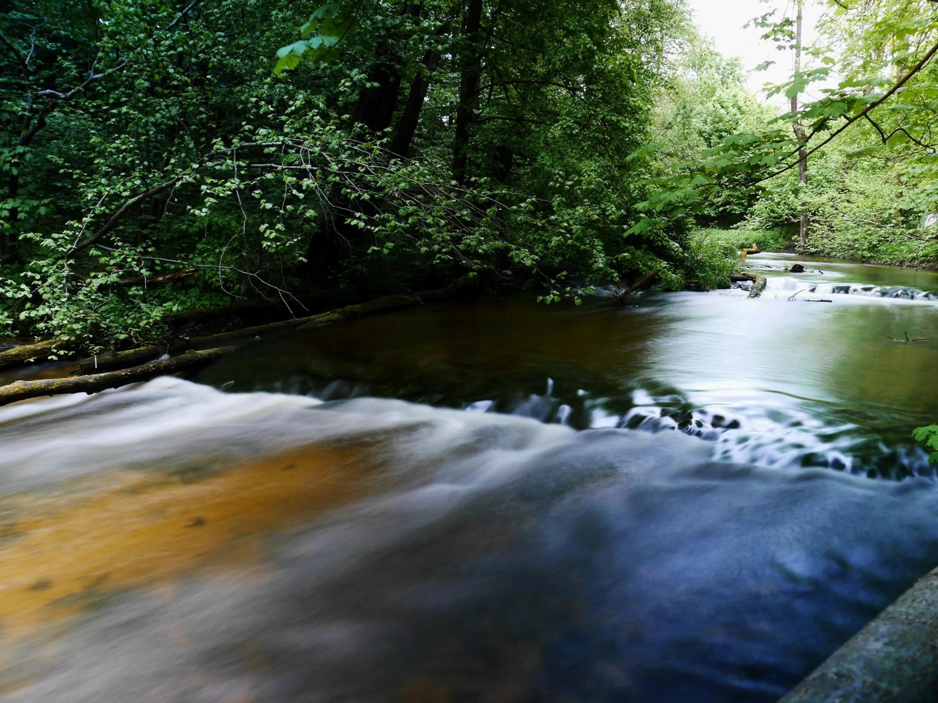 Canoeing in Gościniec Celina