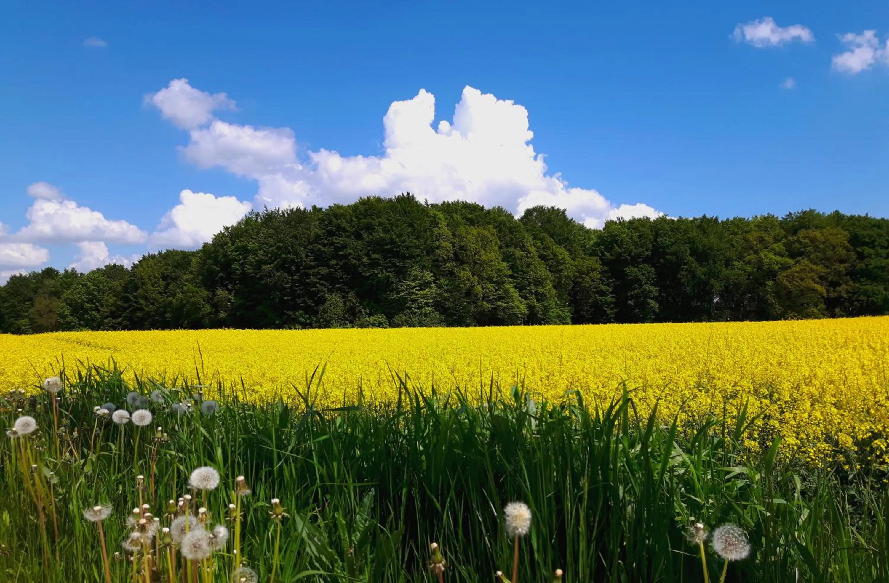 Hiking in Gościniec Celina
