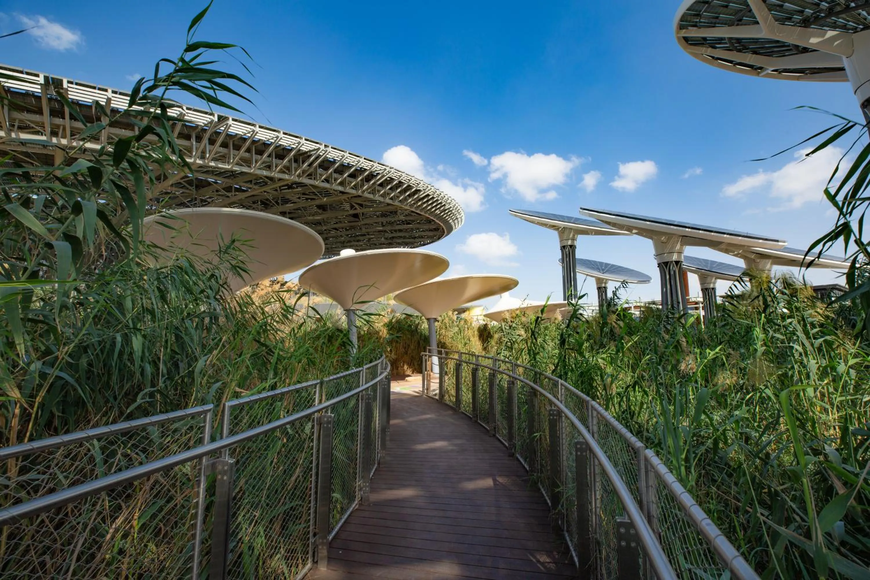 Area and facilities in Cheval Maison - Expo City Dubai