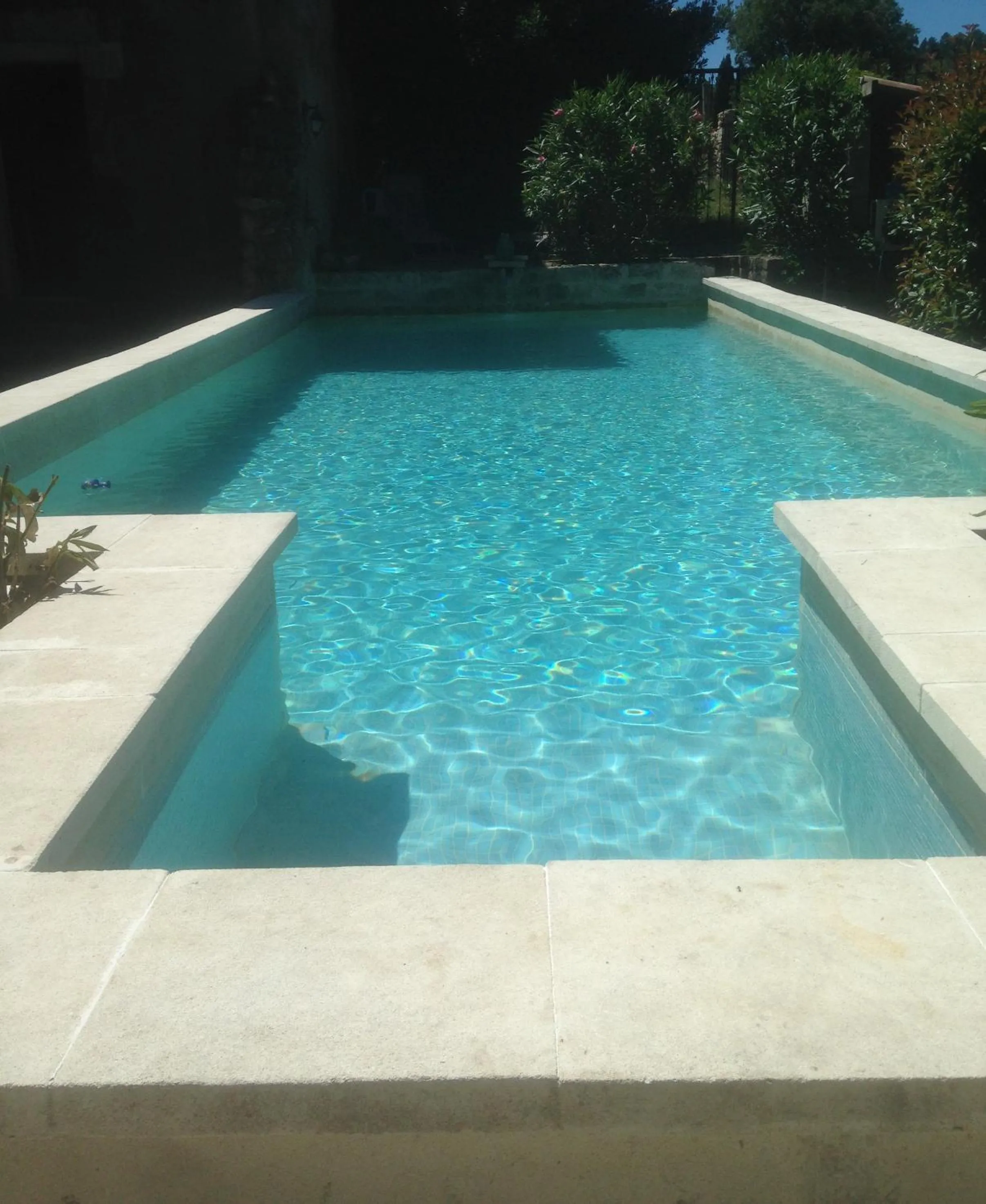 Swimming pool in Chateau de la Bastide