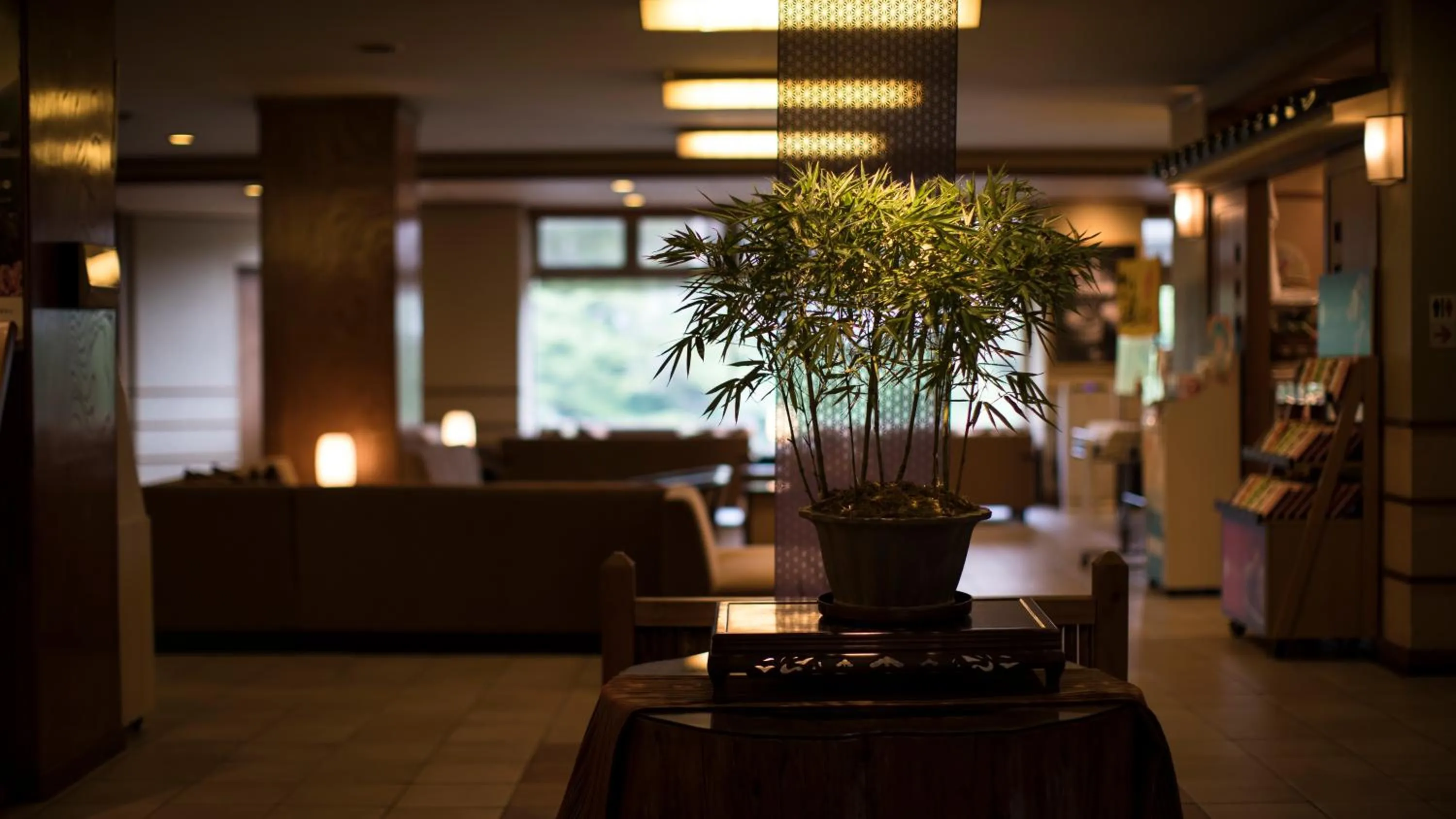 Lobby or reception in Hotel Shirakawa Yunokura