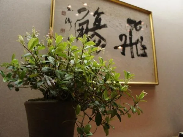 Other in Hotel Shirakawa Yunokura