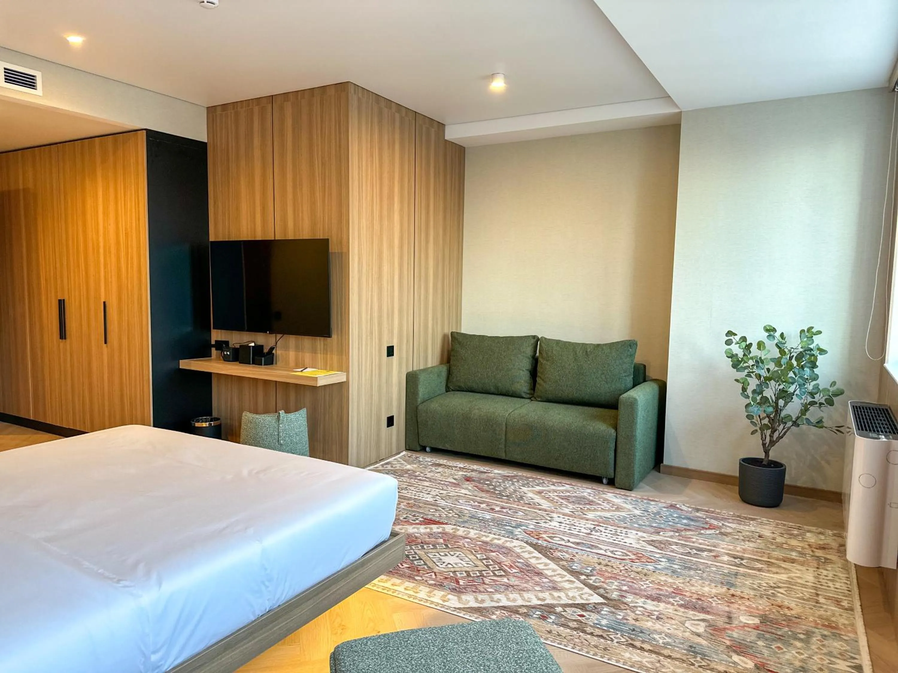 TV and multimedia in Resident Hotel Abay