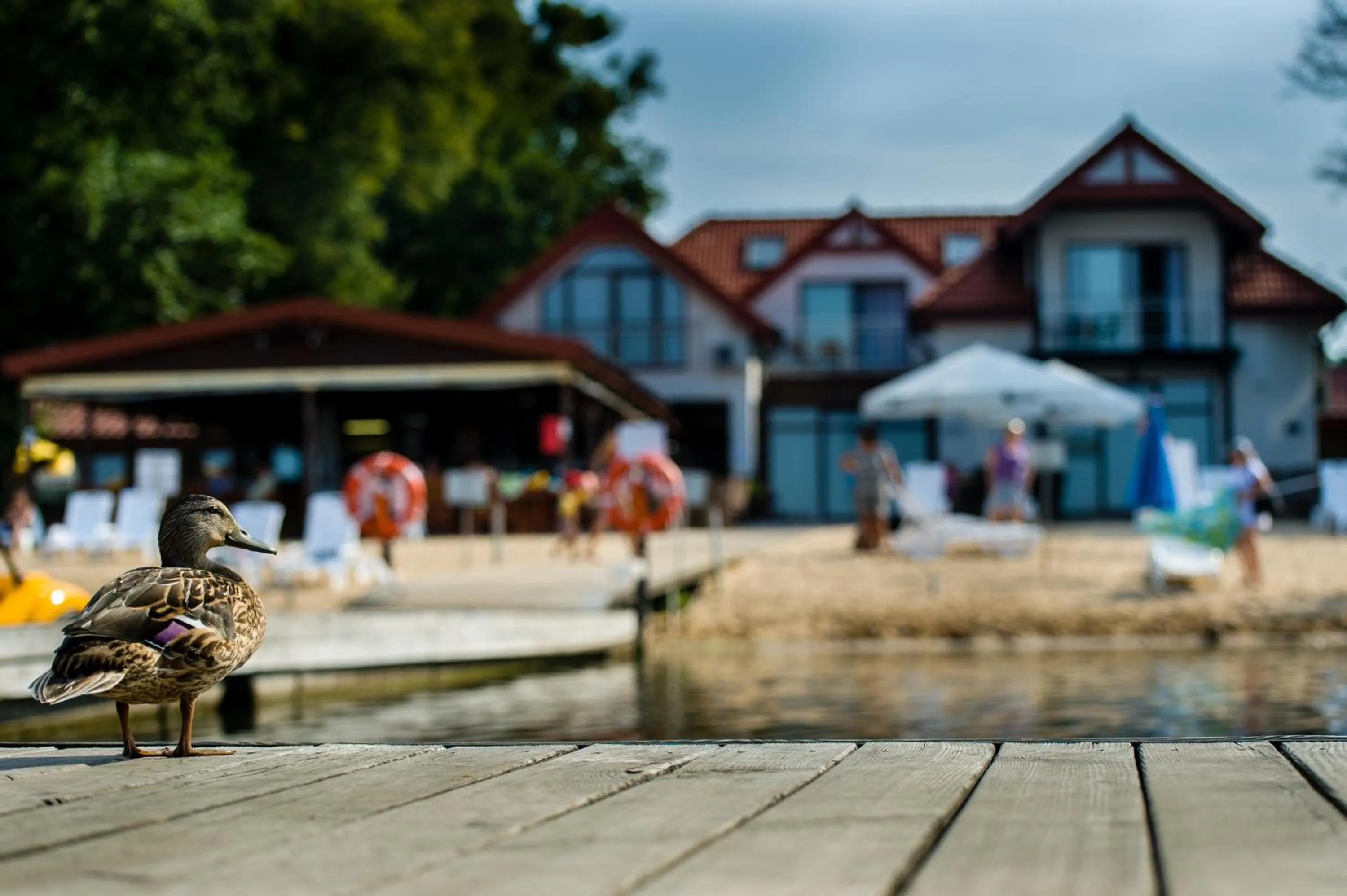 Beach in Hotel Rudnik