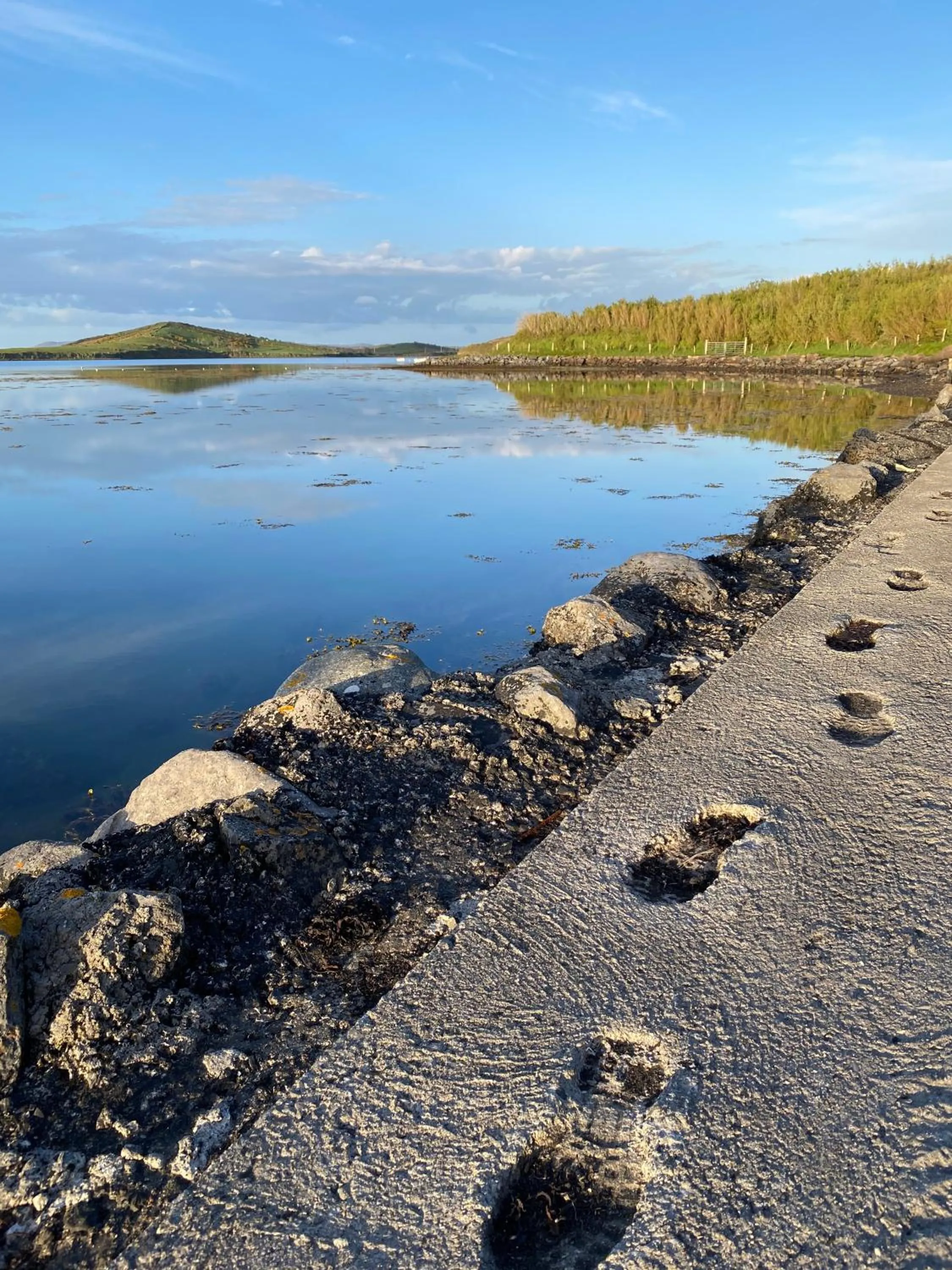 Natural landscape in Seapoint House