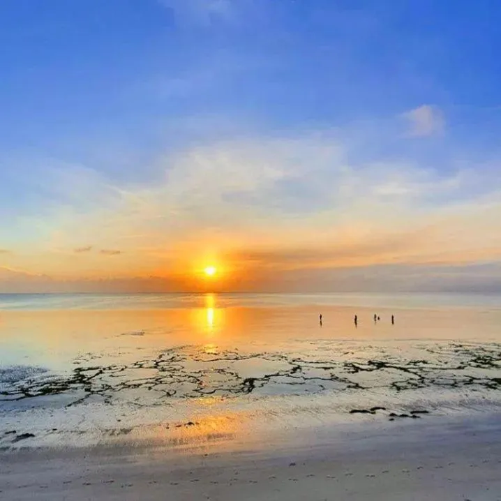 View (from property/room) in Seasons Lodge Zanzibar