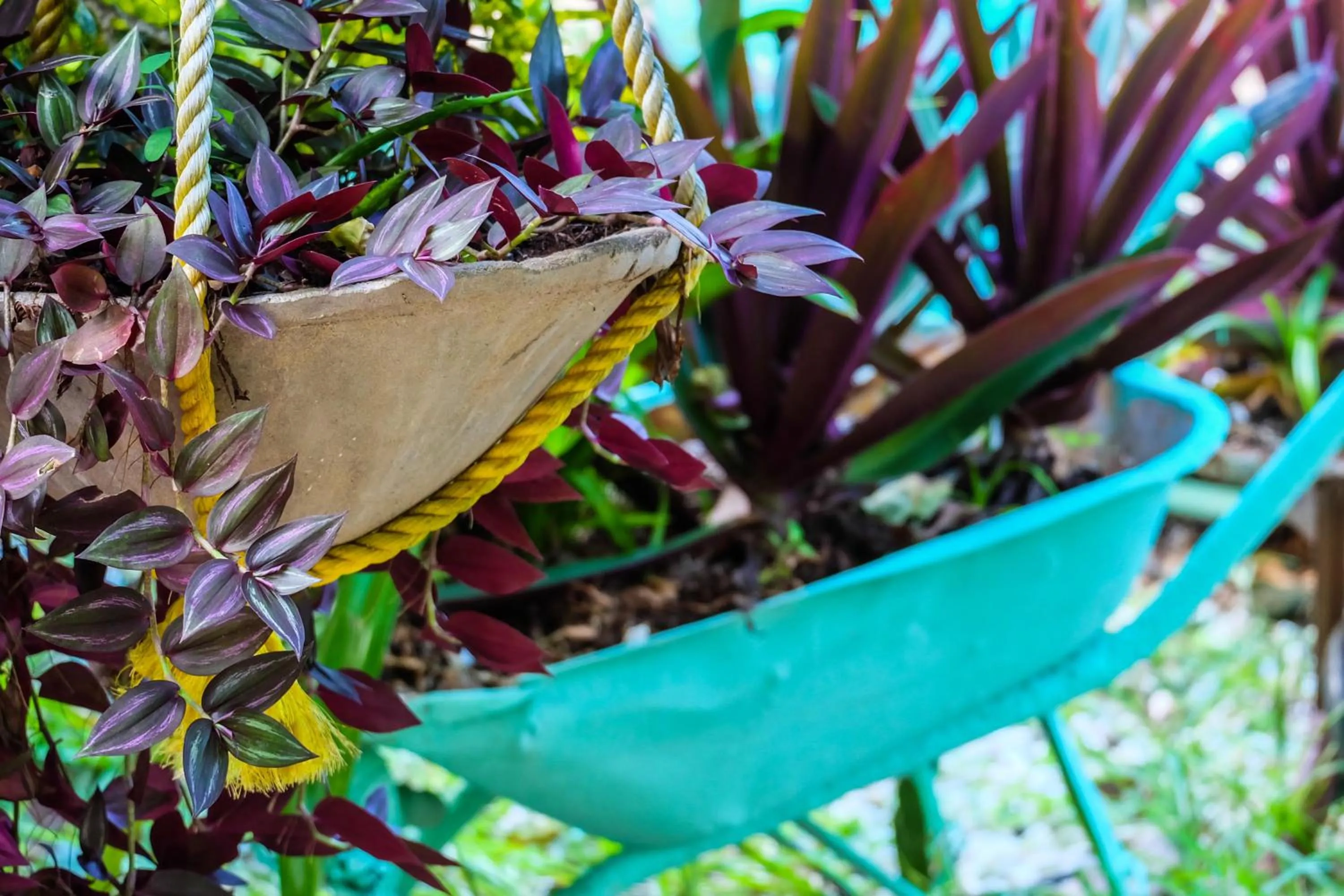 Garden in Seasons Lodge Zanzibar