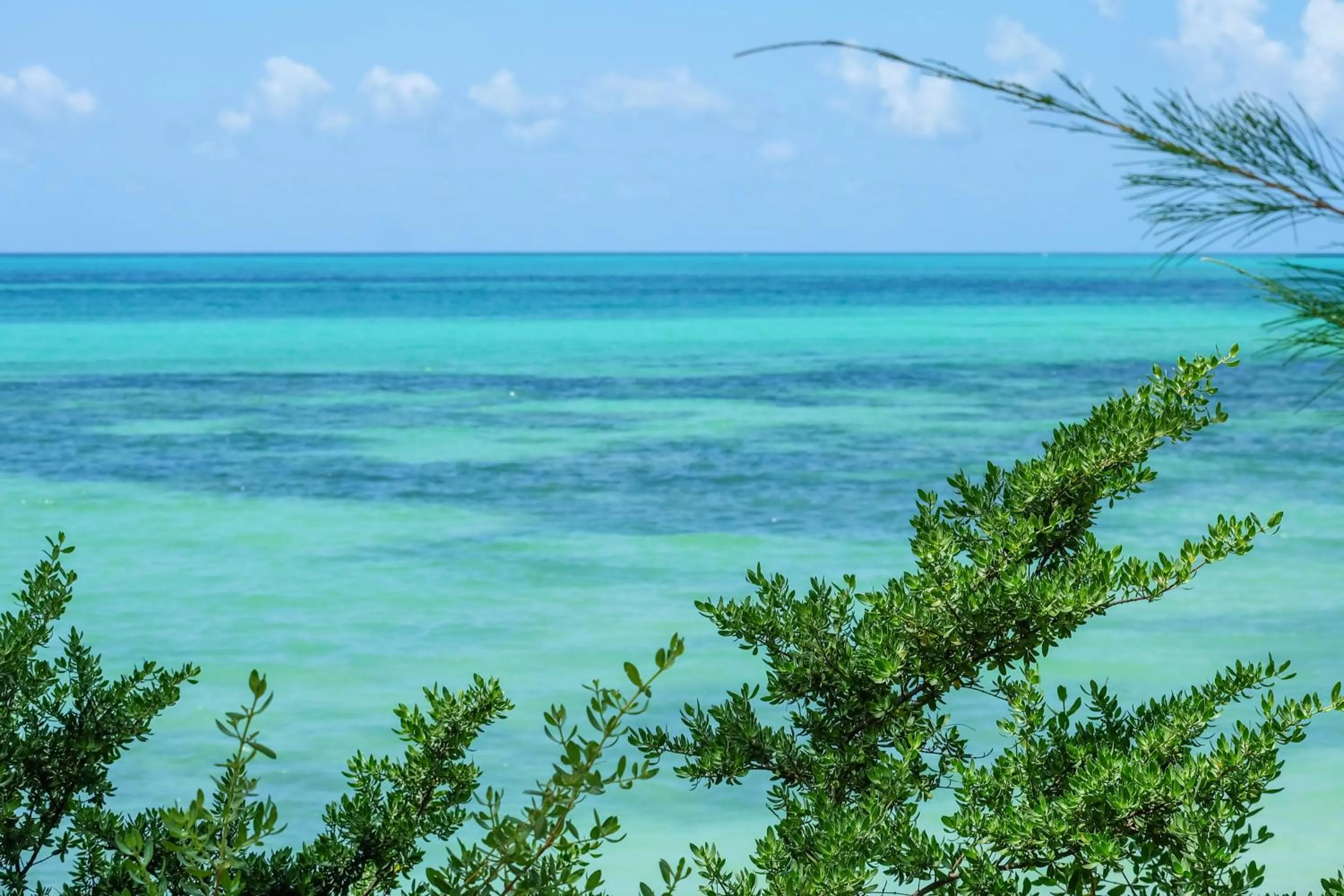 Beach in Seasons Lodge Zanzibar