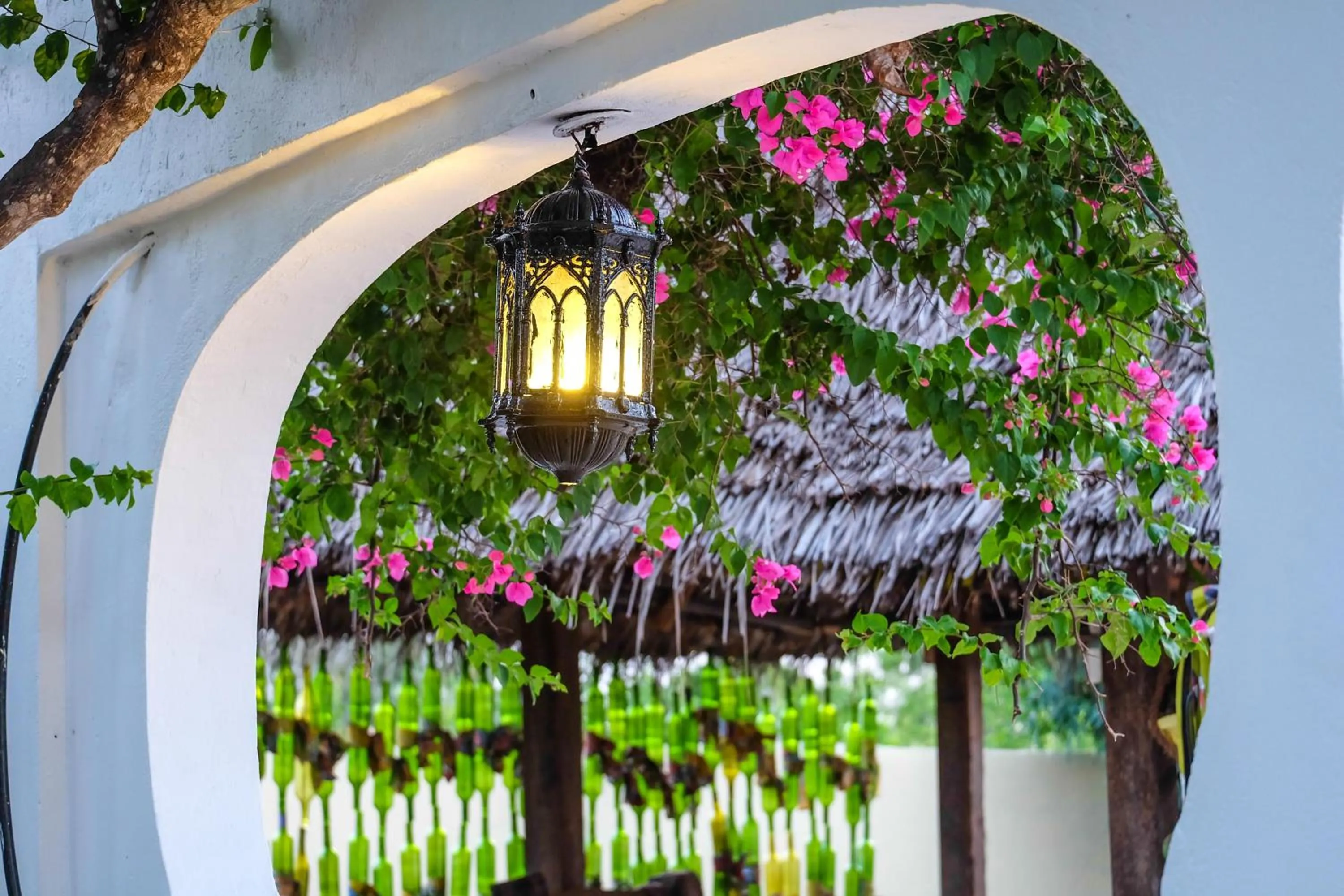 Garden view in Seasons Lodge Zanzibar